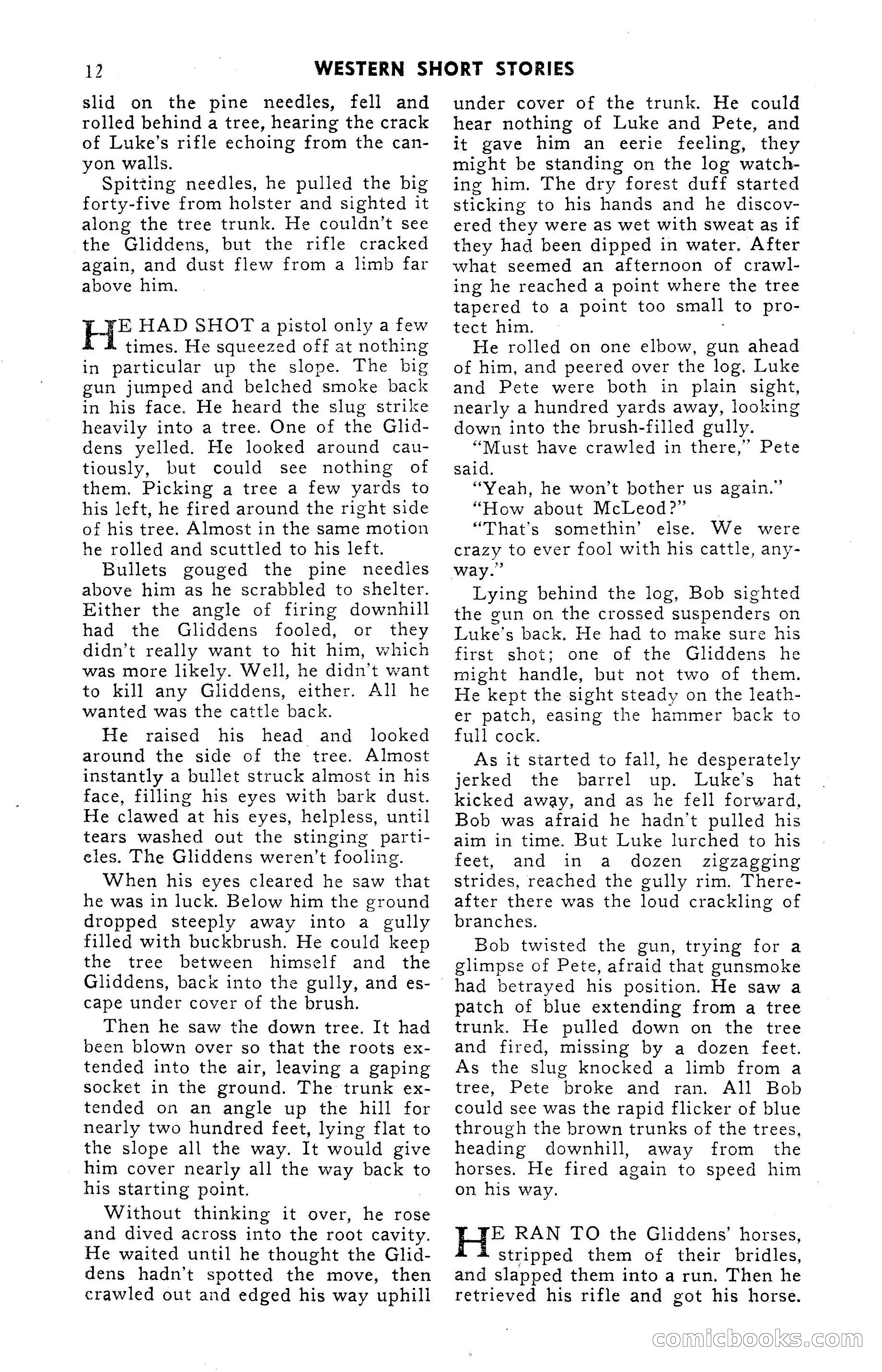 15 Western Short Stories — page 12 of 101