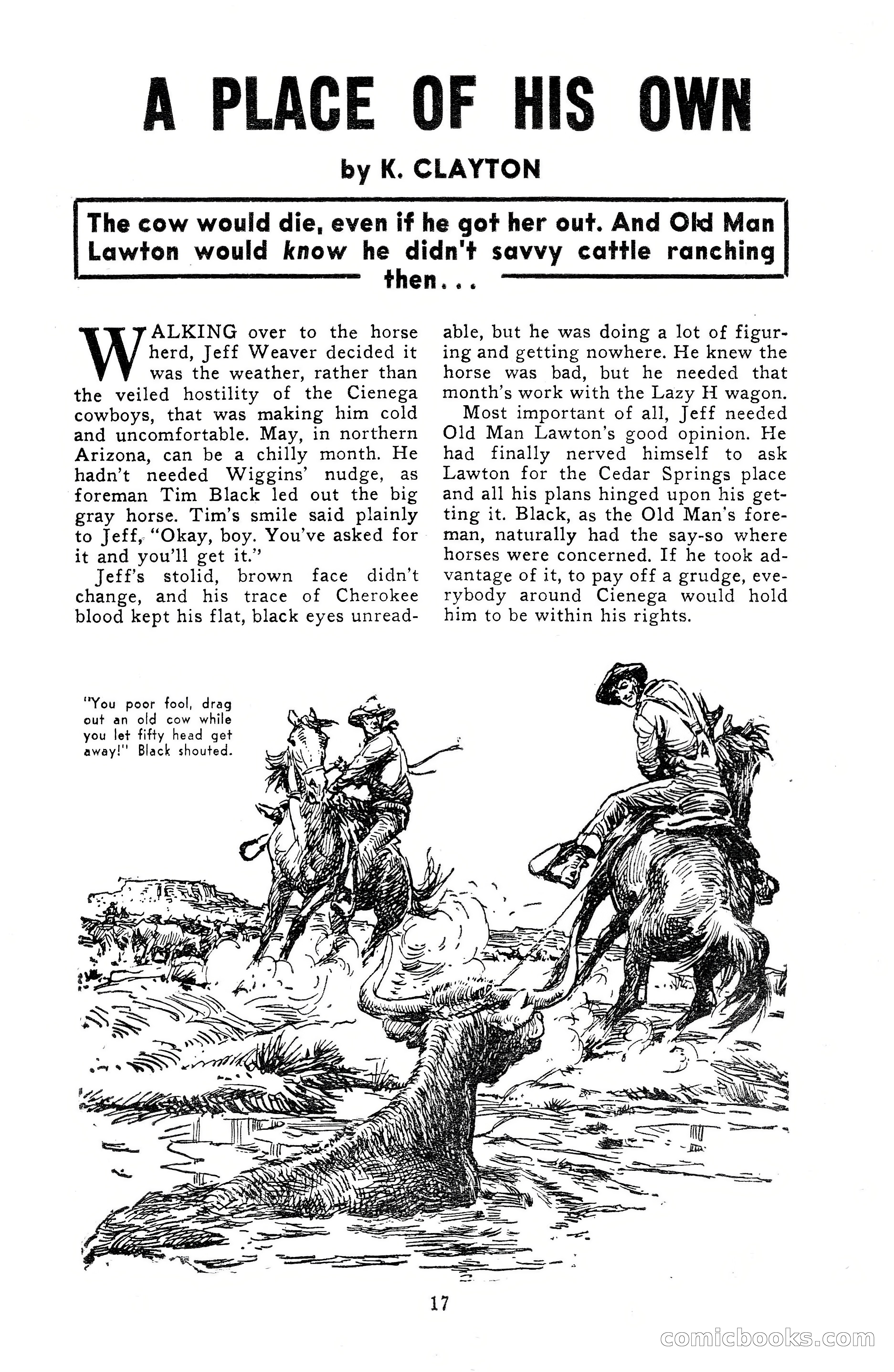 15 Western Short Stories — page 17 of 101