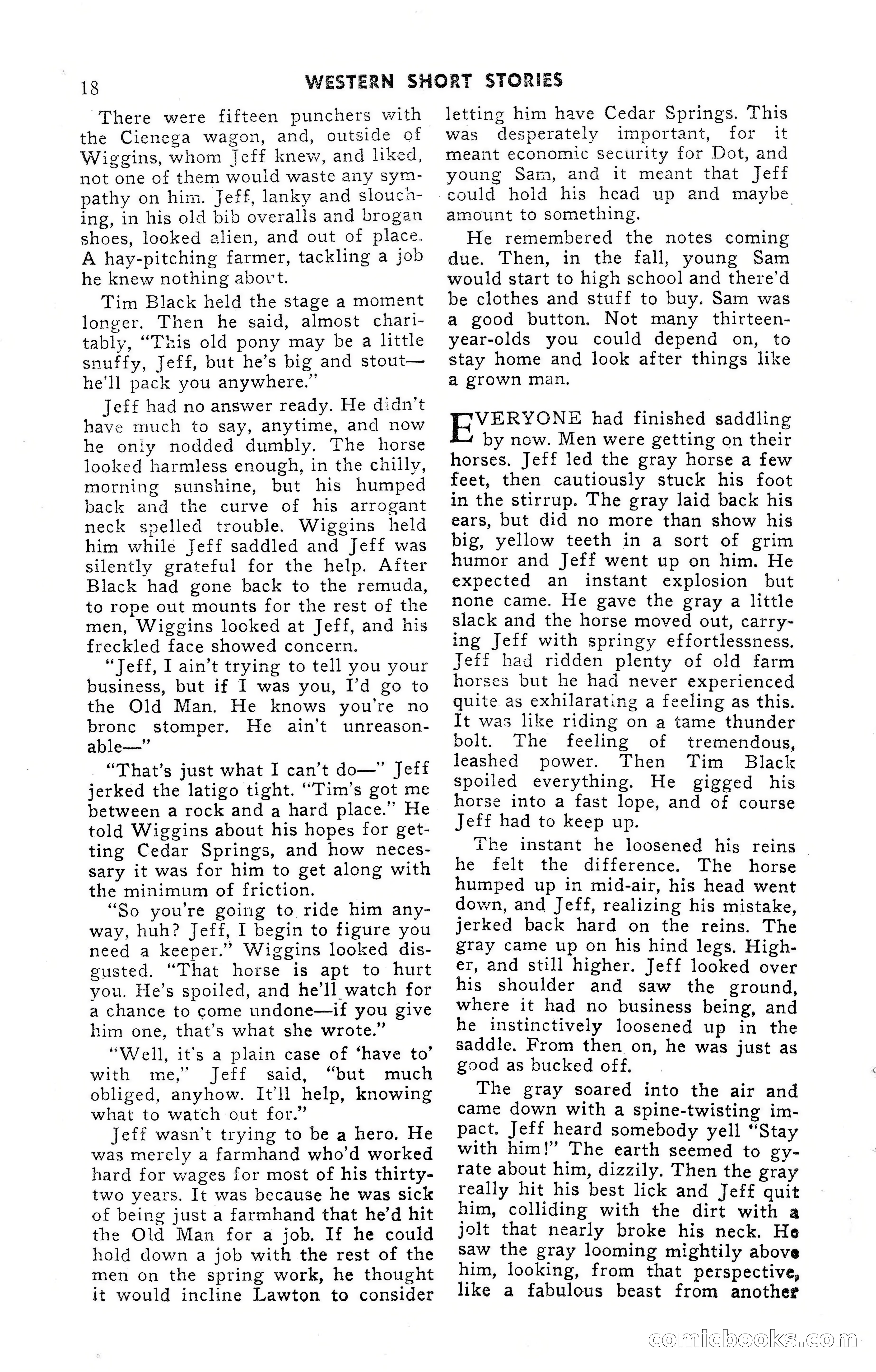 15 Western Short Stories — page 18 of 101