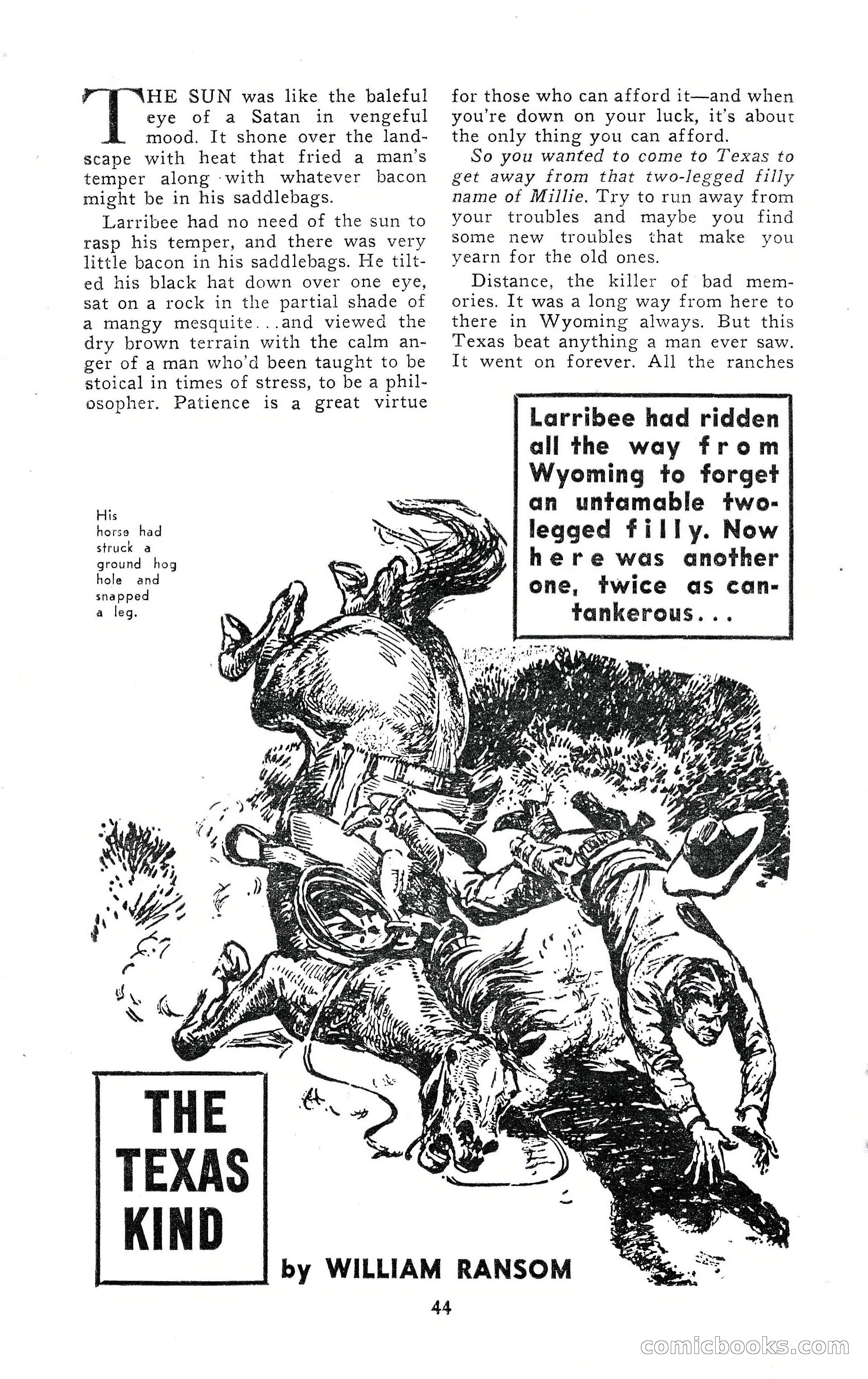 15 Western Short Stories — page 44 of 101