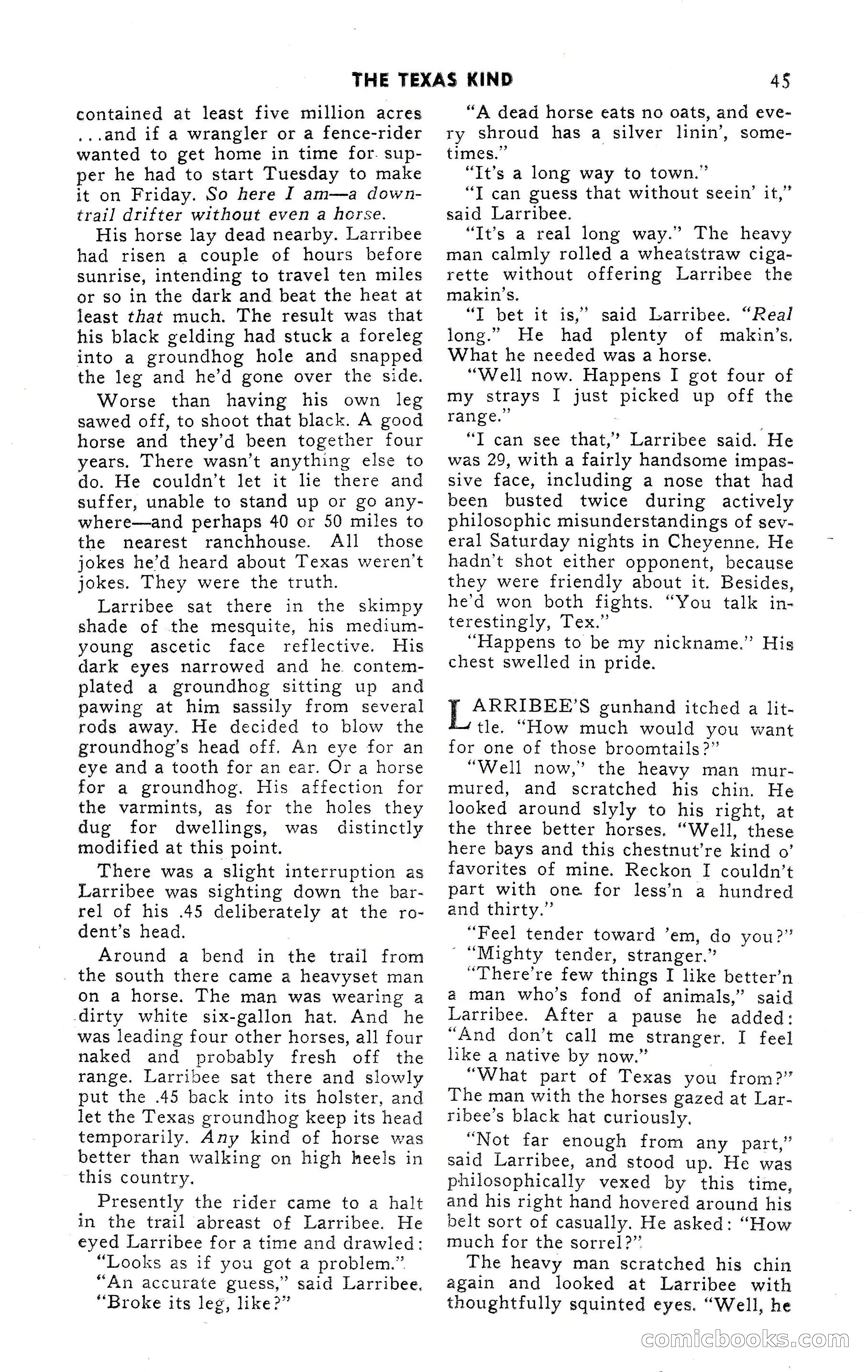 15 Western Short Stories — page 45 of 101