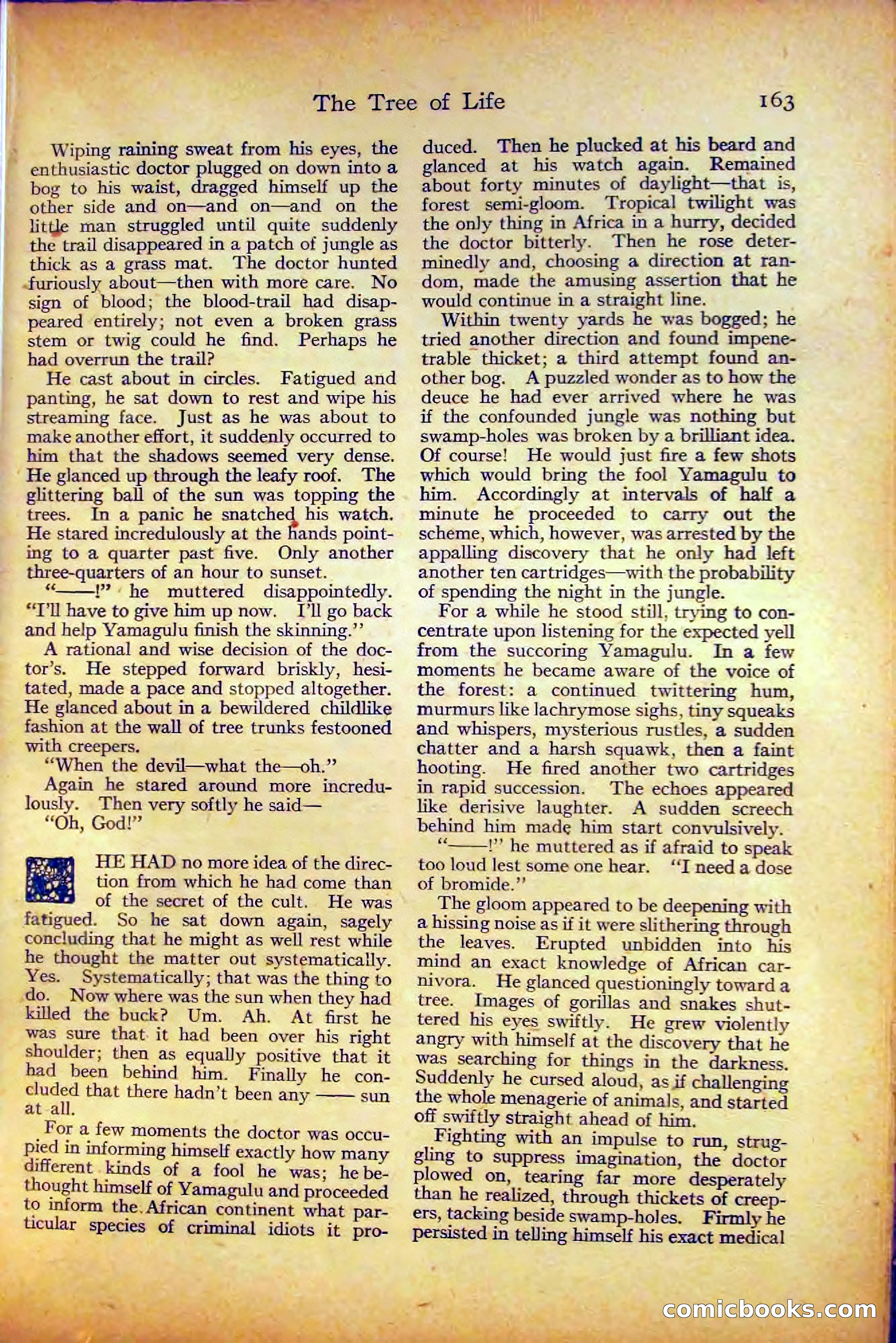 Adventure, August 3, 1919 — page 173 of 204