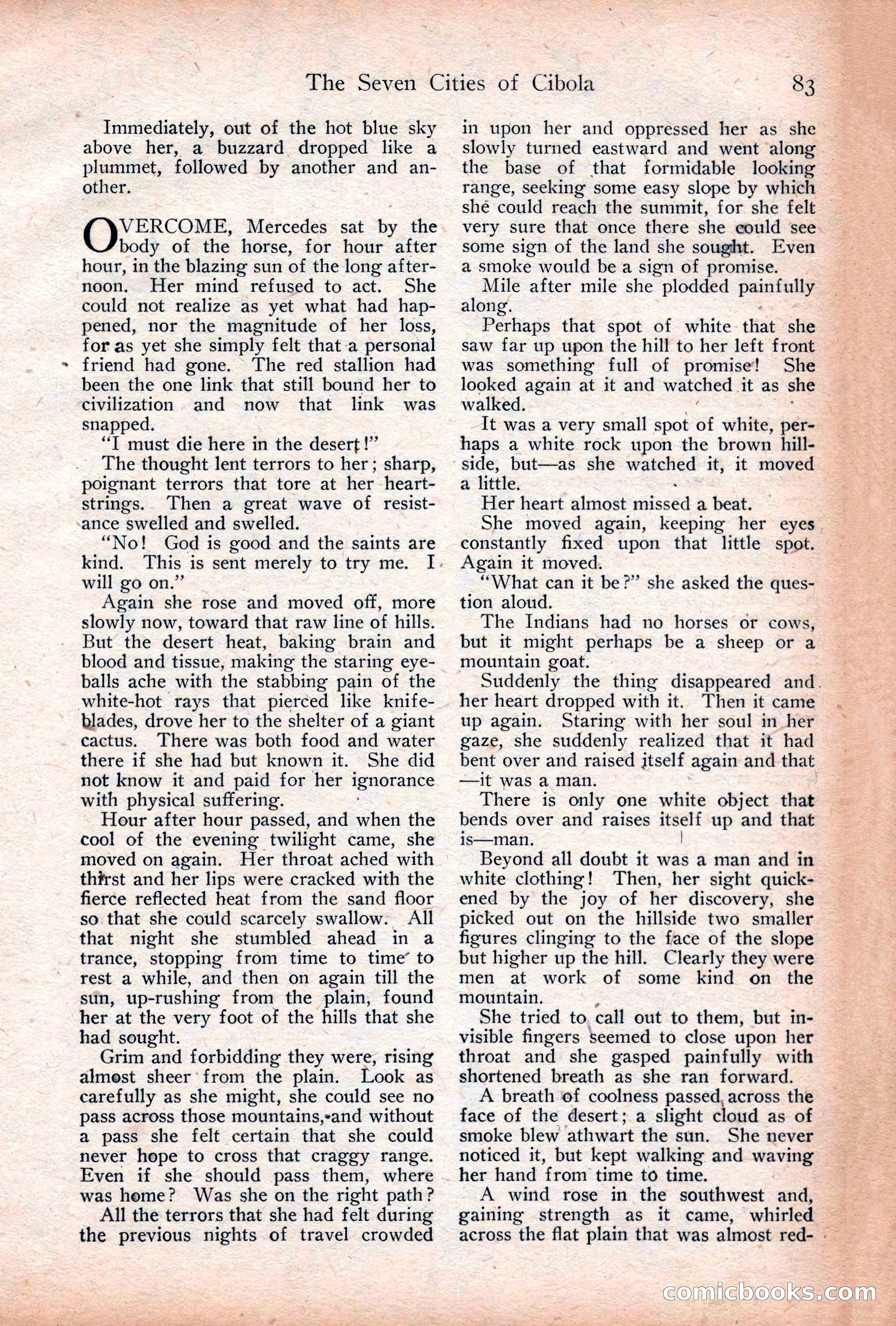 Adventure Magazine Cover, December 18, 1919 — page 97 of 208