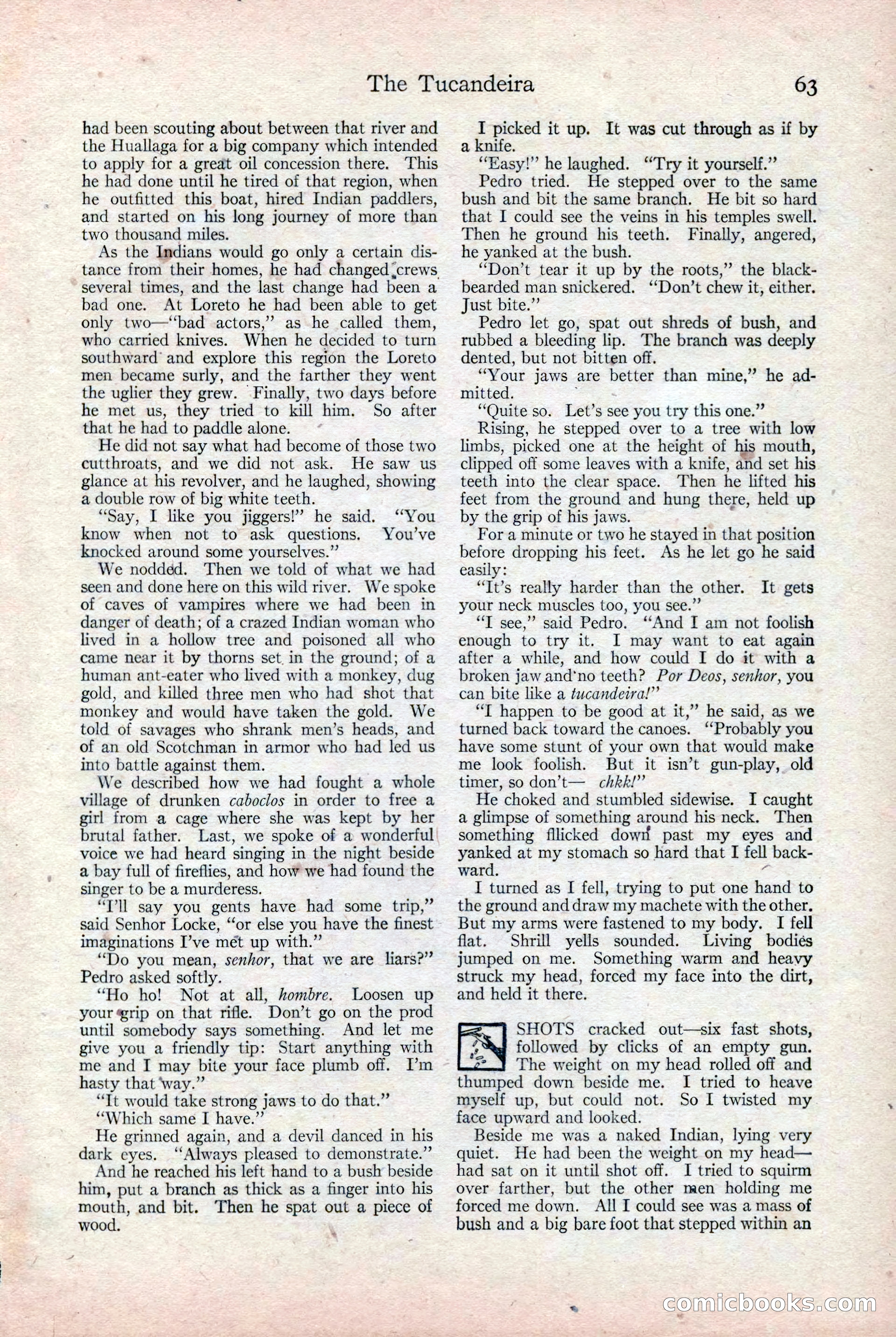 Adventure, December 3, 1920 — page 73 of 172