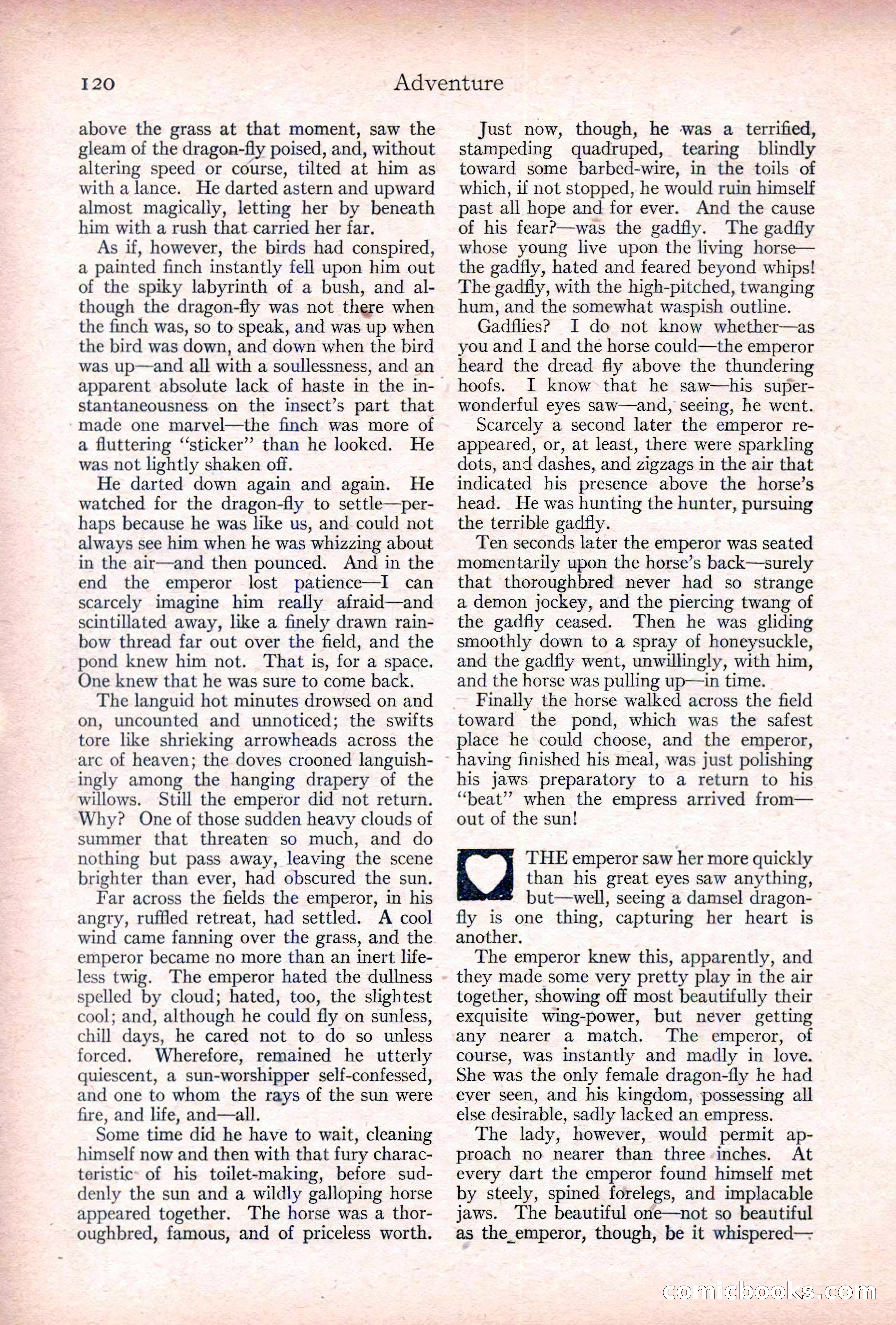 Adventure, January 20, 1922 — page 122 of 196
