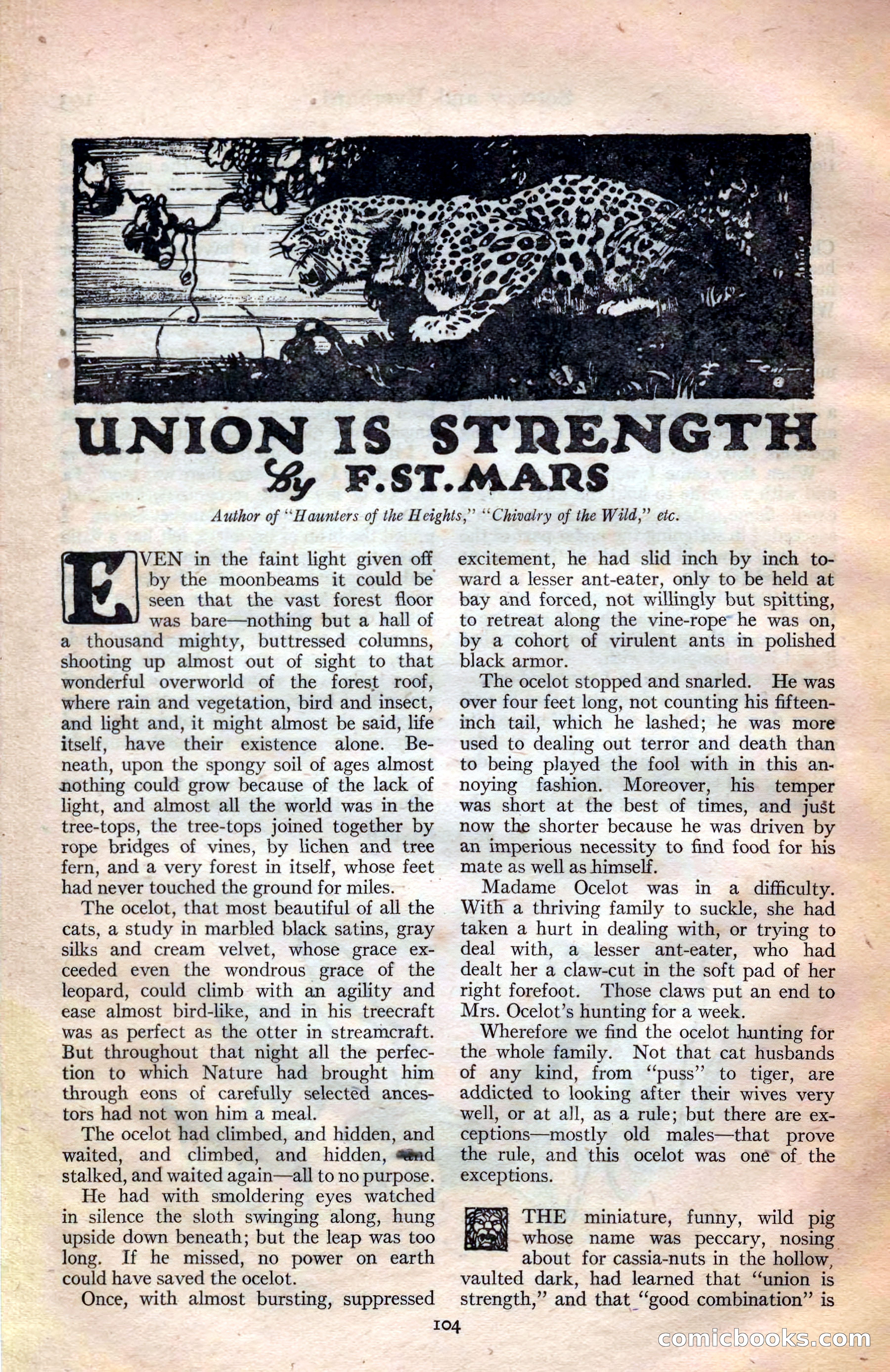 Adventure Magazine Cover — page 105 of 194