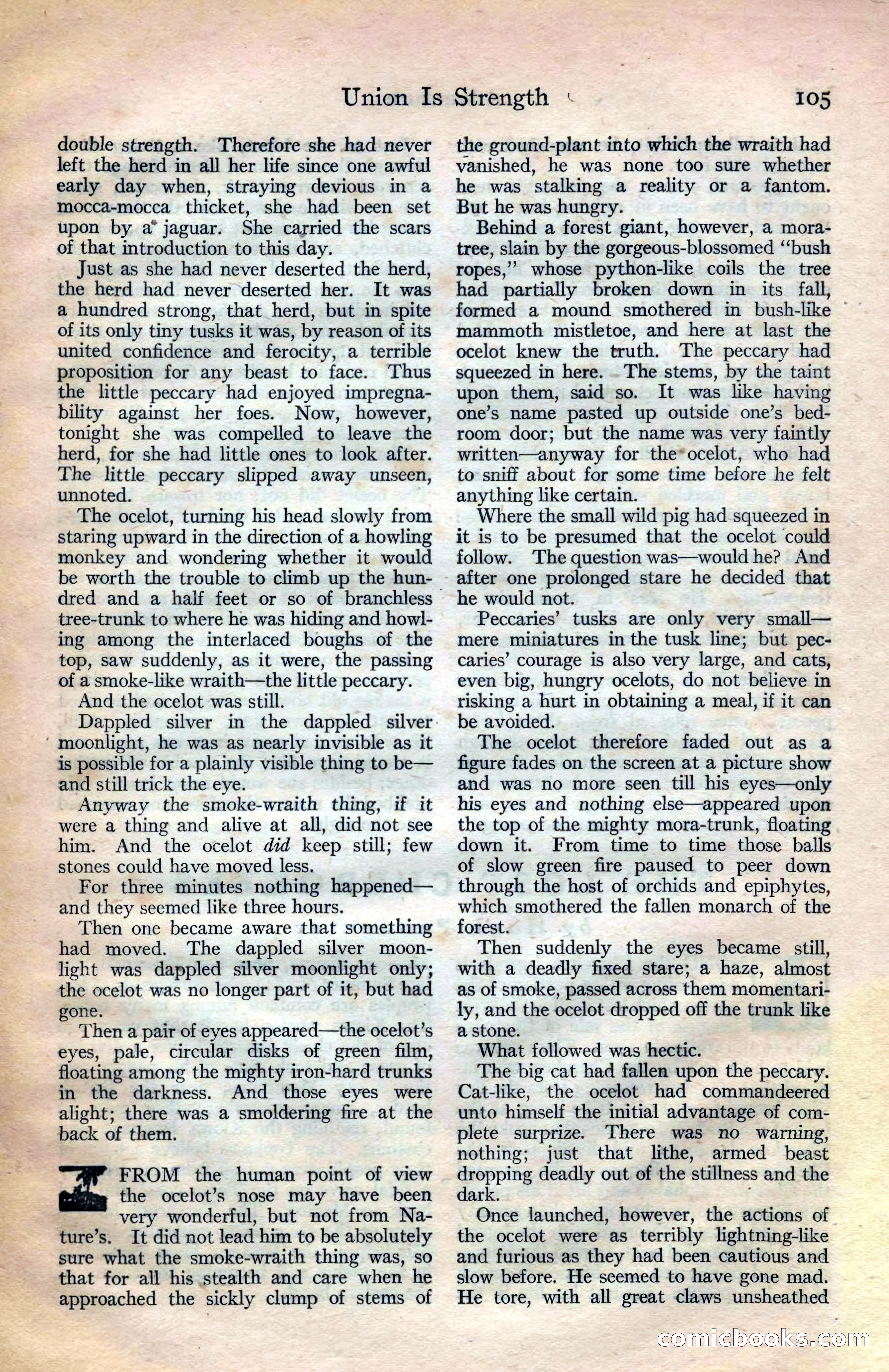 Adventure Magazine Cover — page 106 of 194