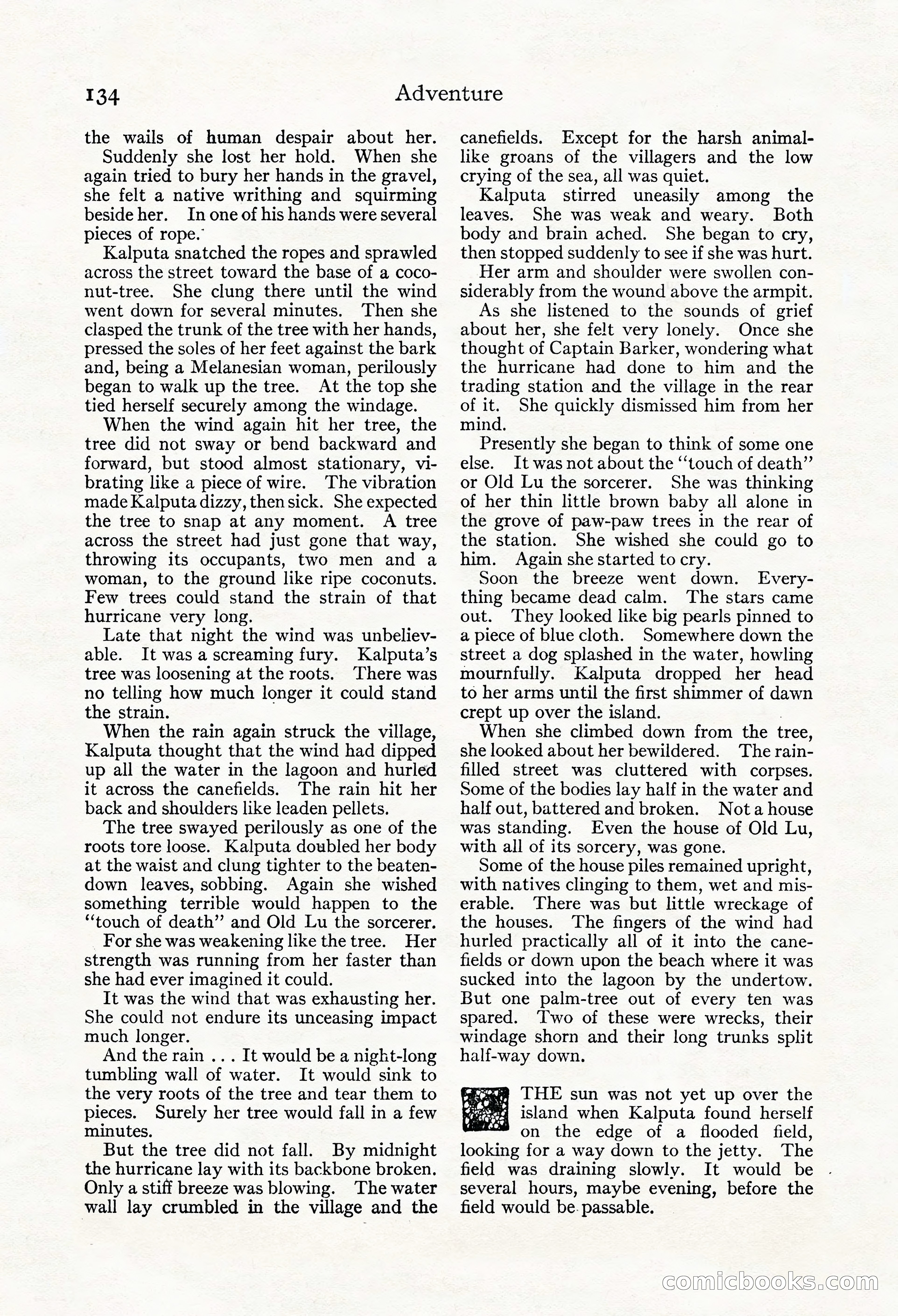 Adventure Magazine, Mid-September 1917 — page 136 of 196