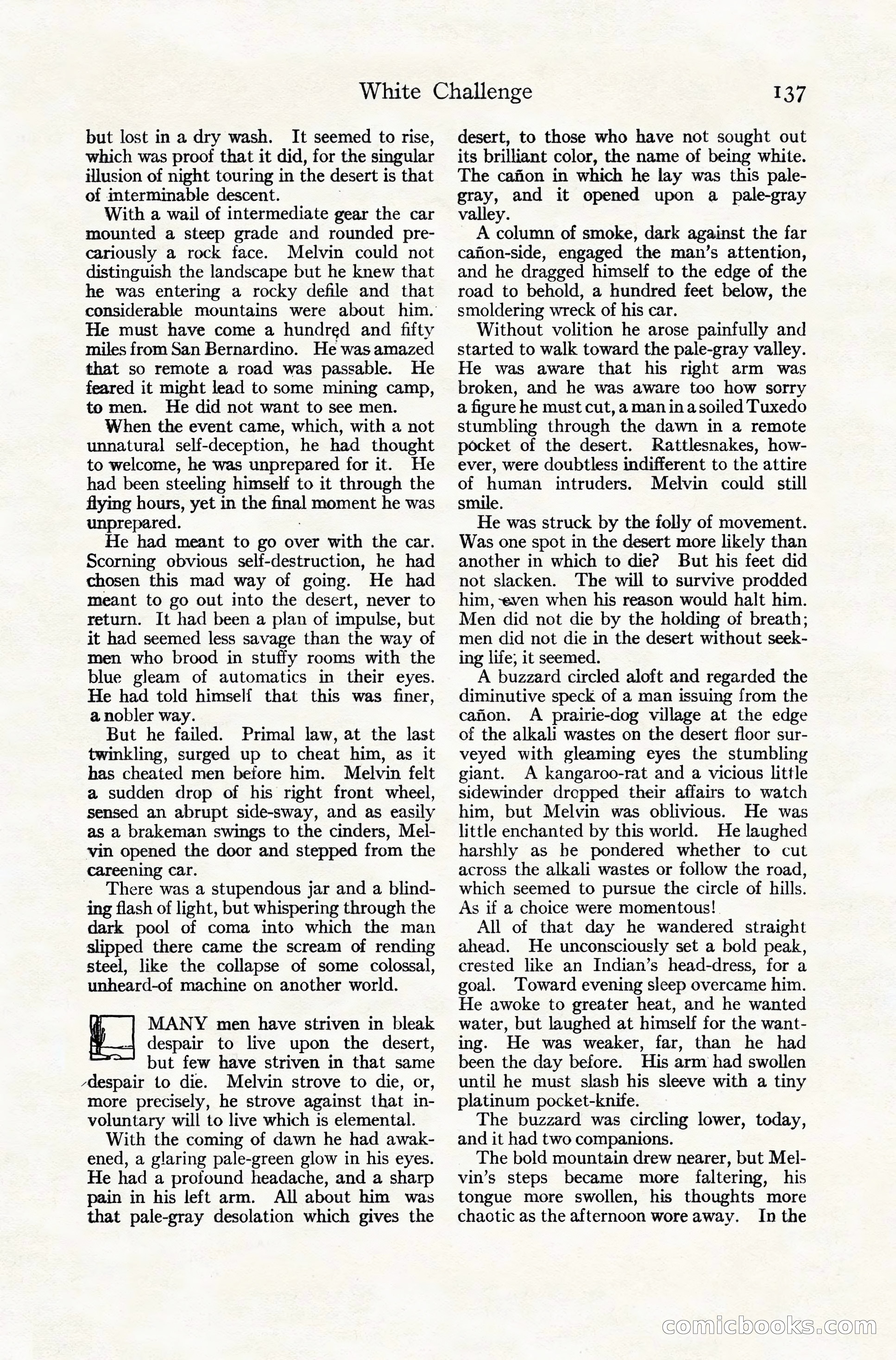 Adventure Magazine Cover, November 10, 1924 — page 139 of 194