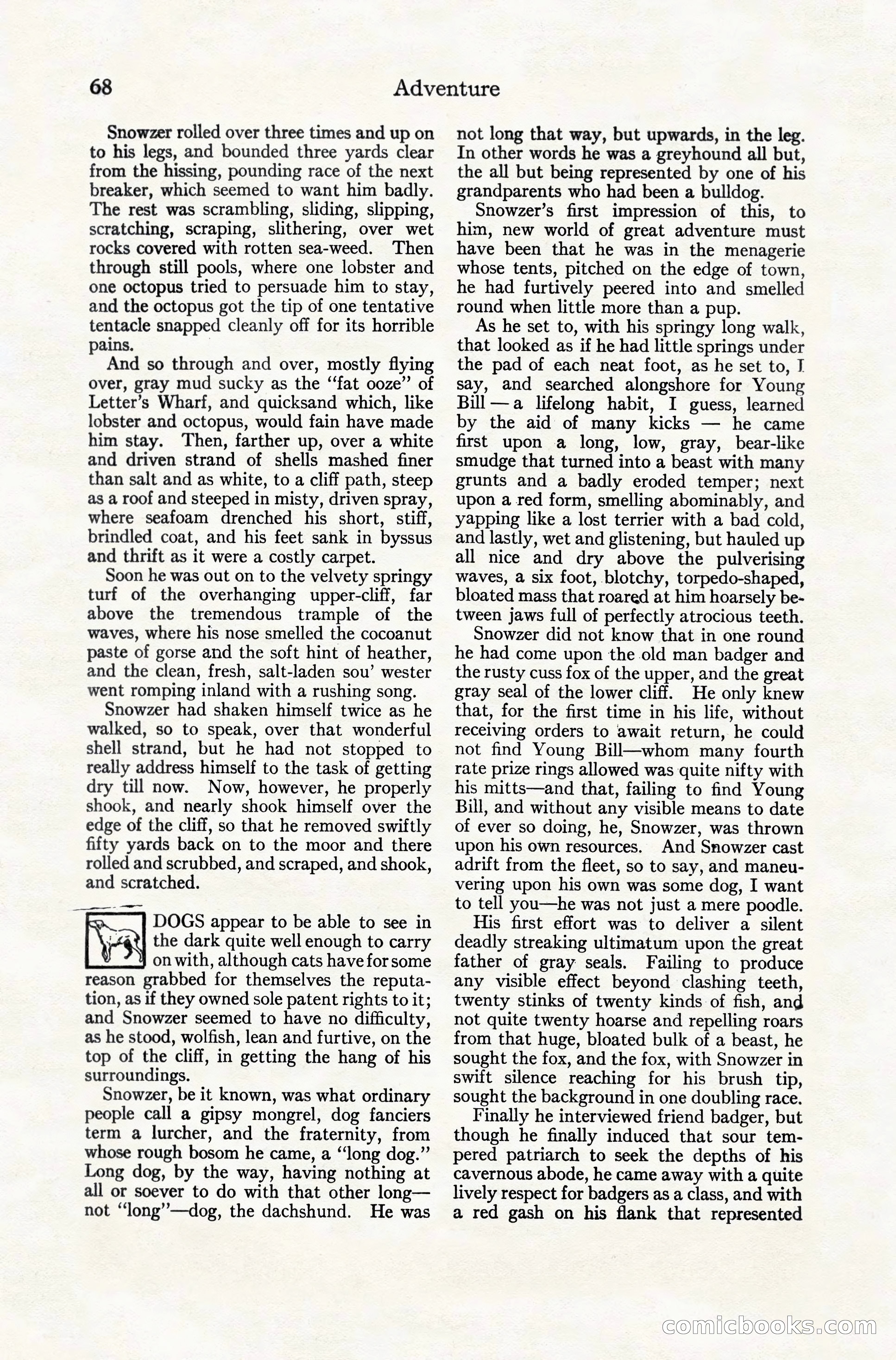 Adventure Magazine, December 10, 1924 — page 90 of 216