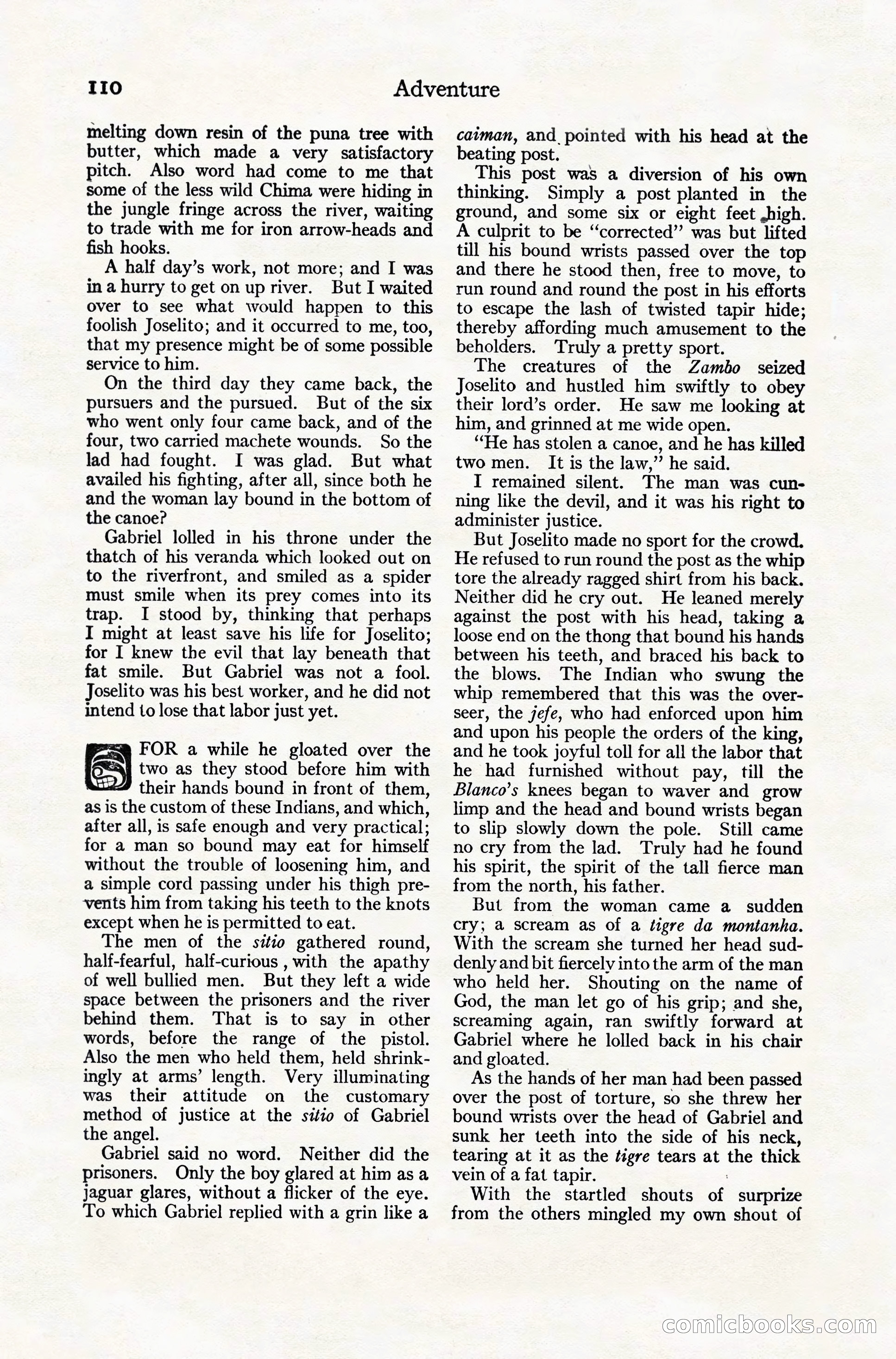 Adventure Magazine, December 10, 1924 — page 132 of 216