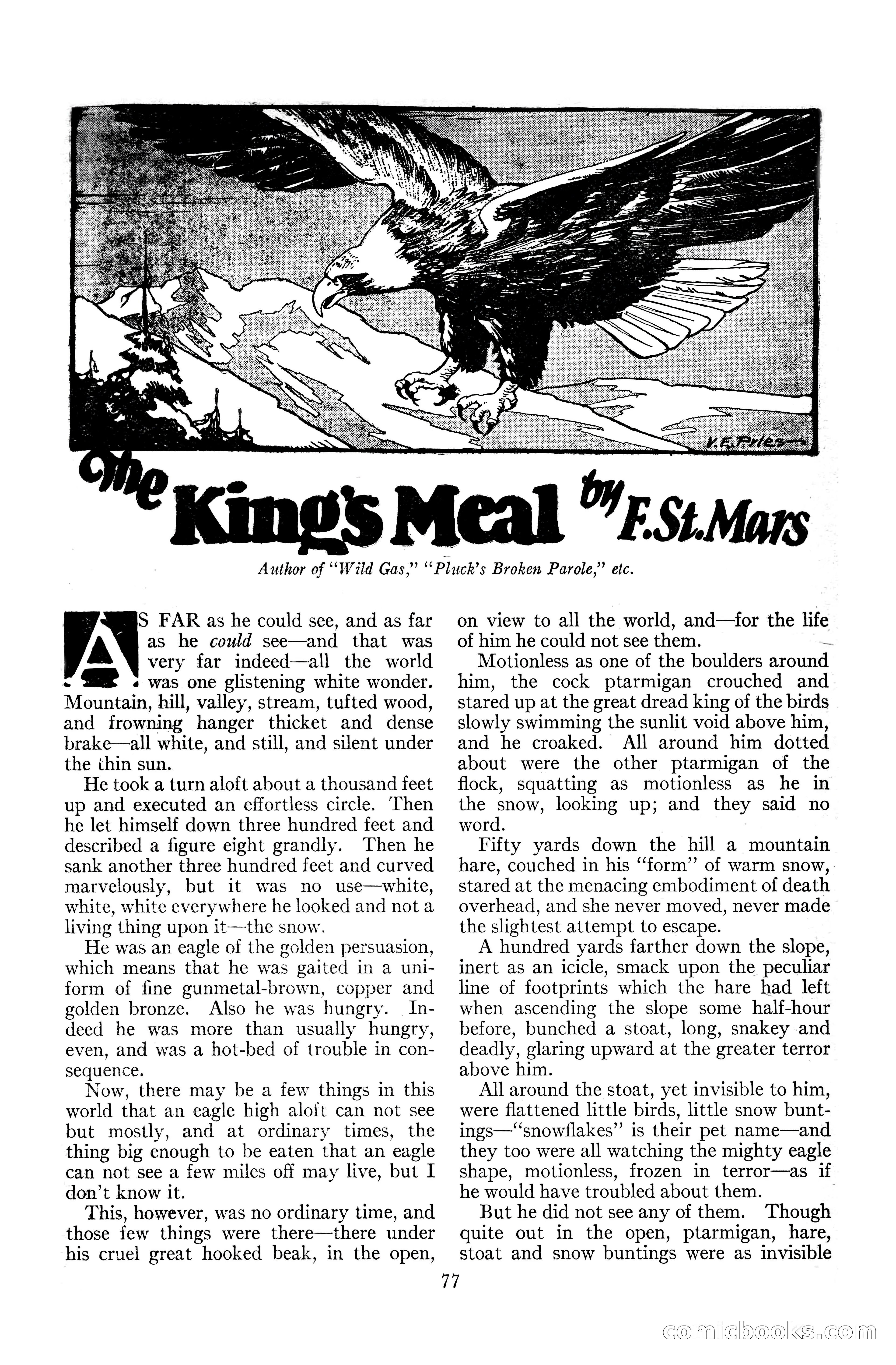Adventure Magazine Cover, June 20, 1925 — page 95 of 212