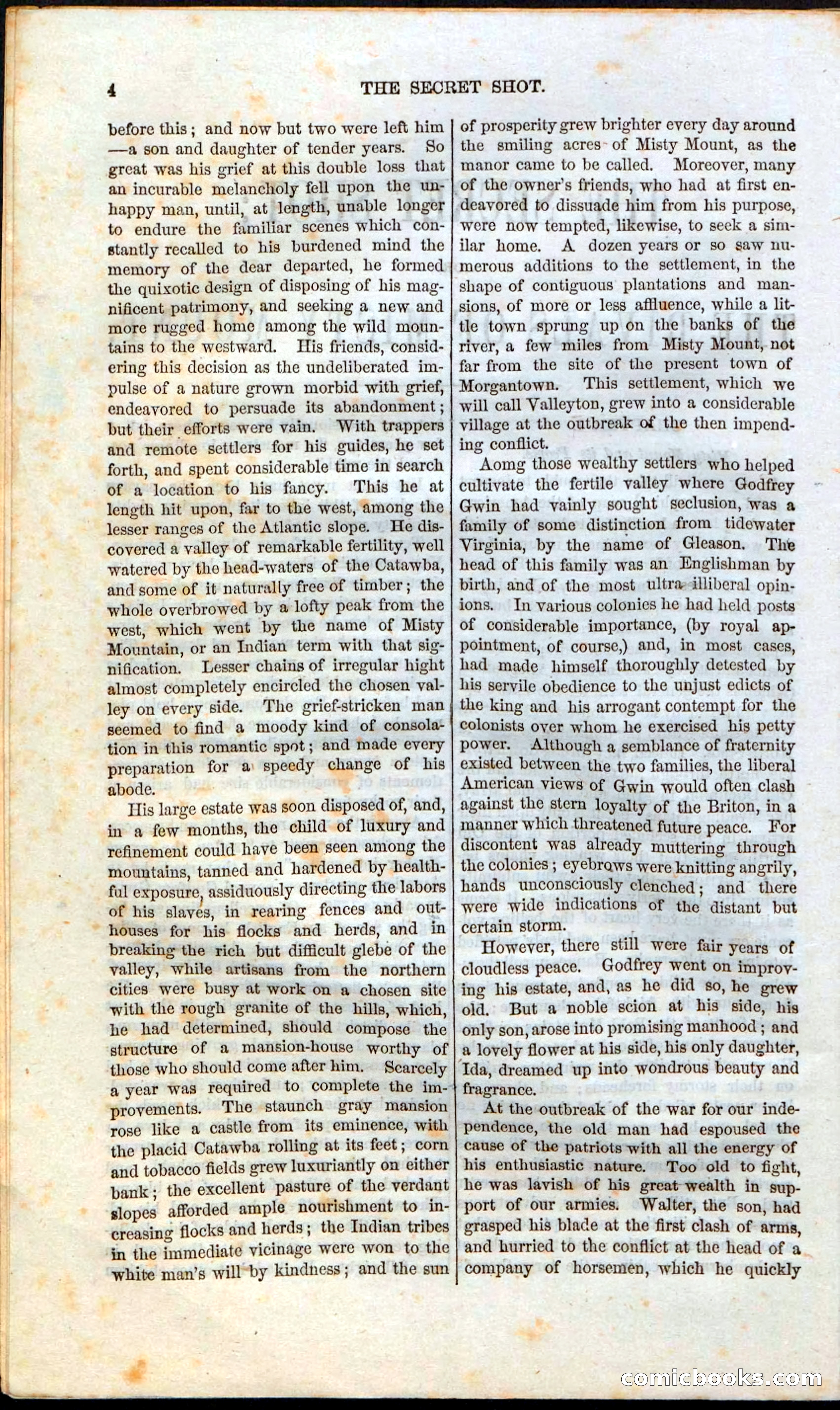 The Secret Shot; Or, The Rivals Of Misty Mount — page 6 of 52