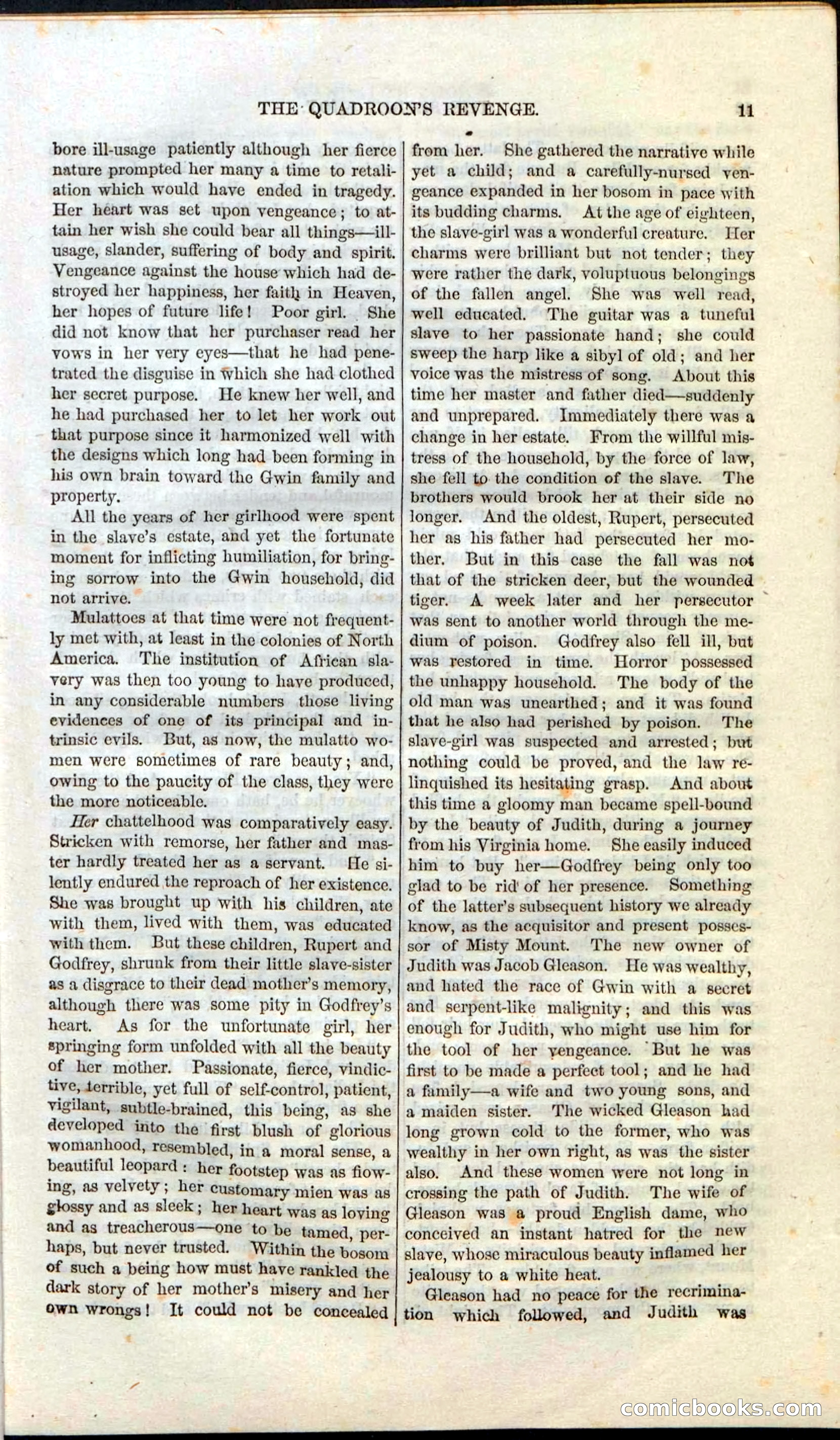 The Secret Shot; Or, The Rivals Of Misty Mount — page 13 of 52