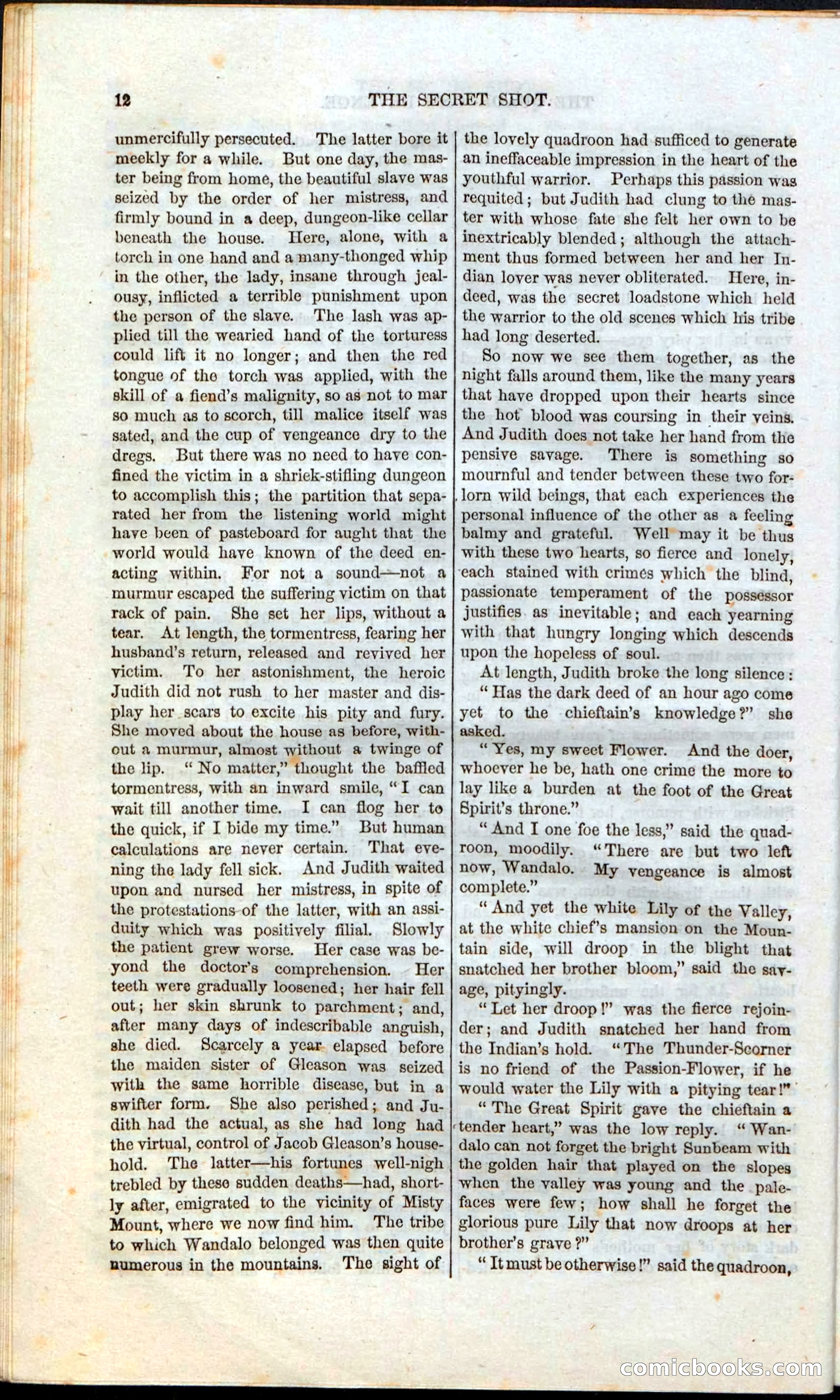 The Secret Shot; Or, The Rivals Of Misty Mount — page 14 of 52
