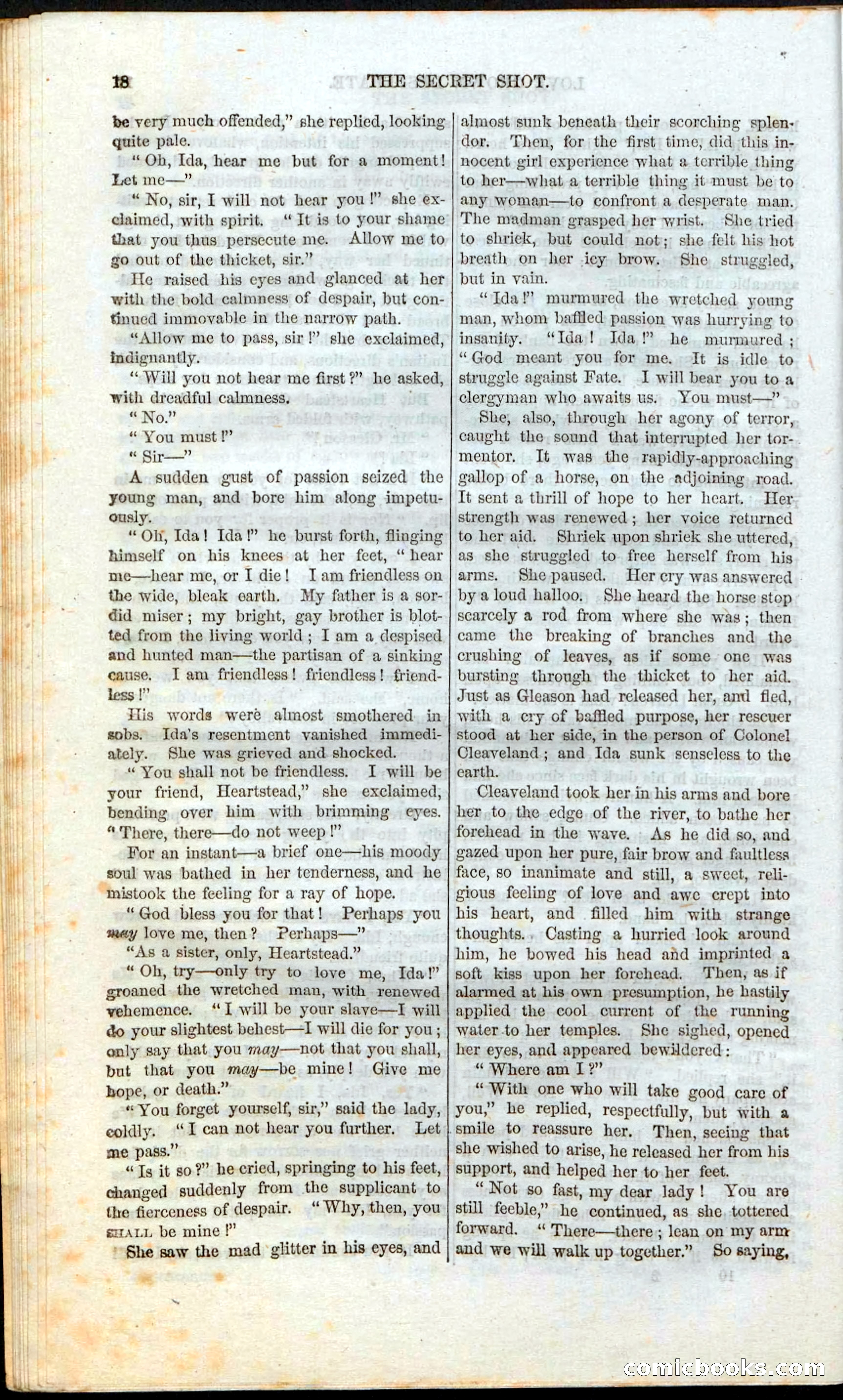 The Secret Shot; Or, The Rivals Of Misty Mount — page 20 of 52