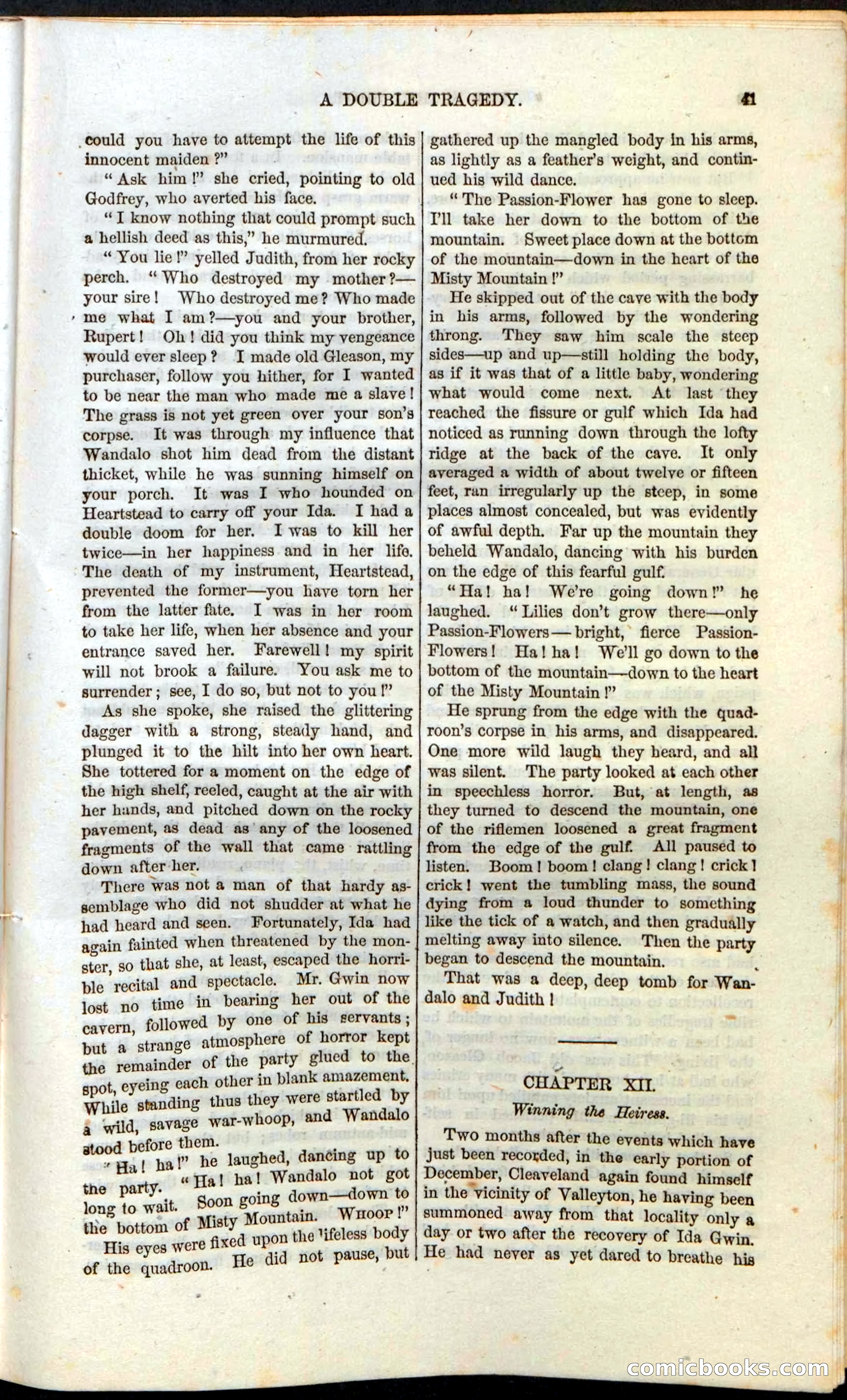 The Secret Shot; Or, The Rivals Of Misty Mount — page 43 of 52