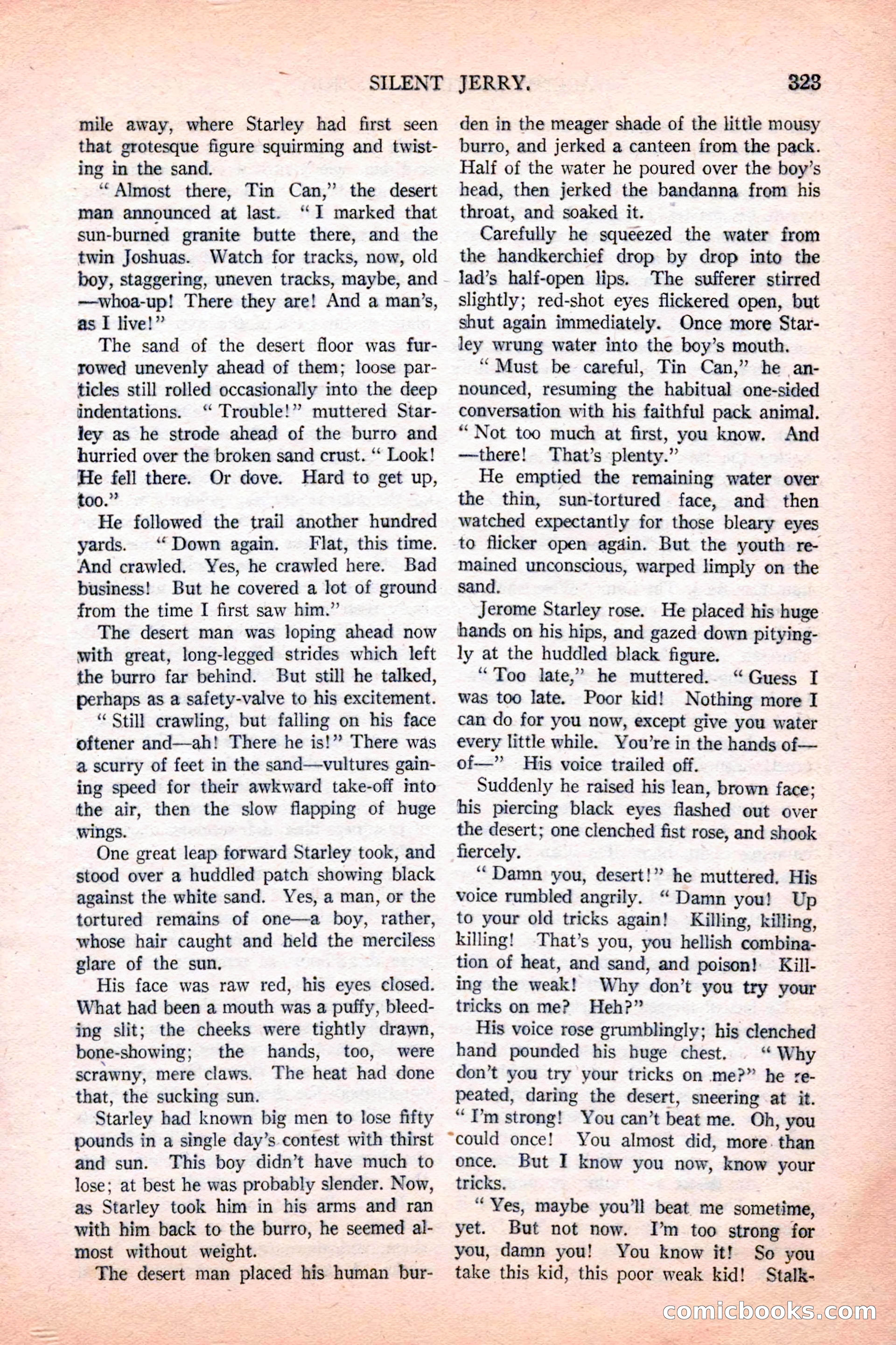 Argosy All-Story Weekly, December 4, 1926 — page 13 of 184