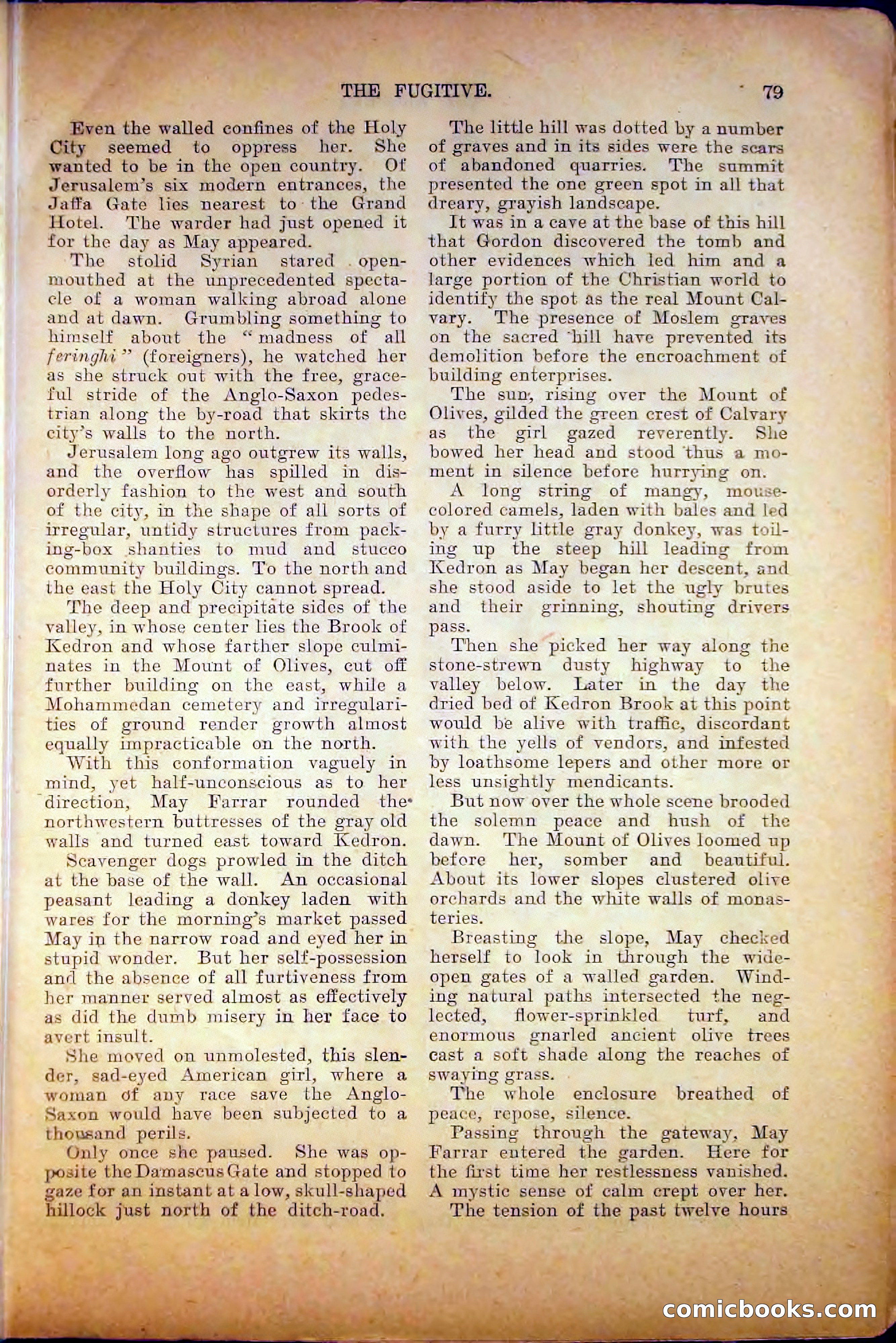 The Argosy, August 1905 — page 89 of 224