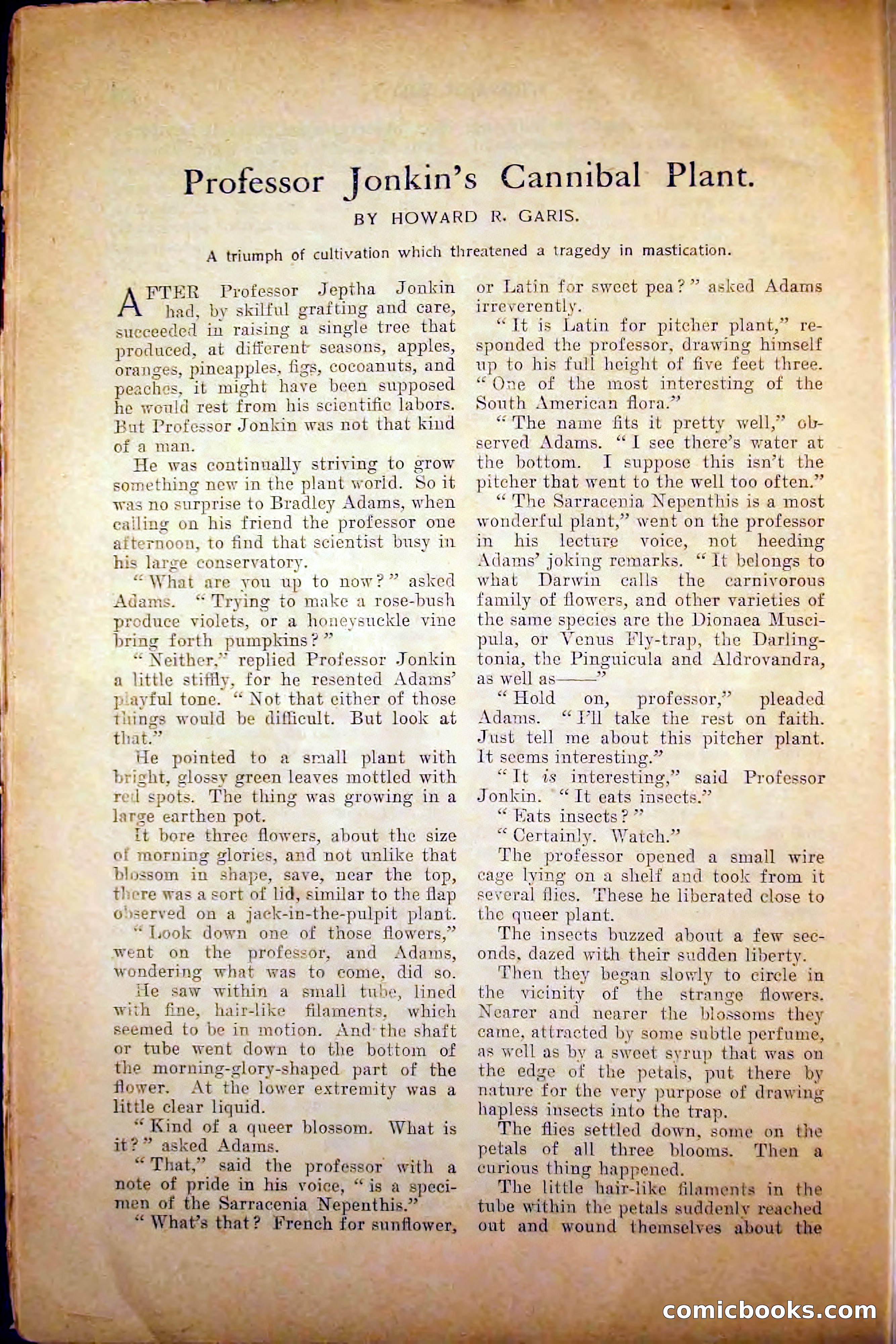 The Argosy, August 1905 — page 174 of 224
