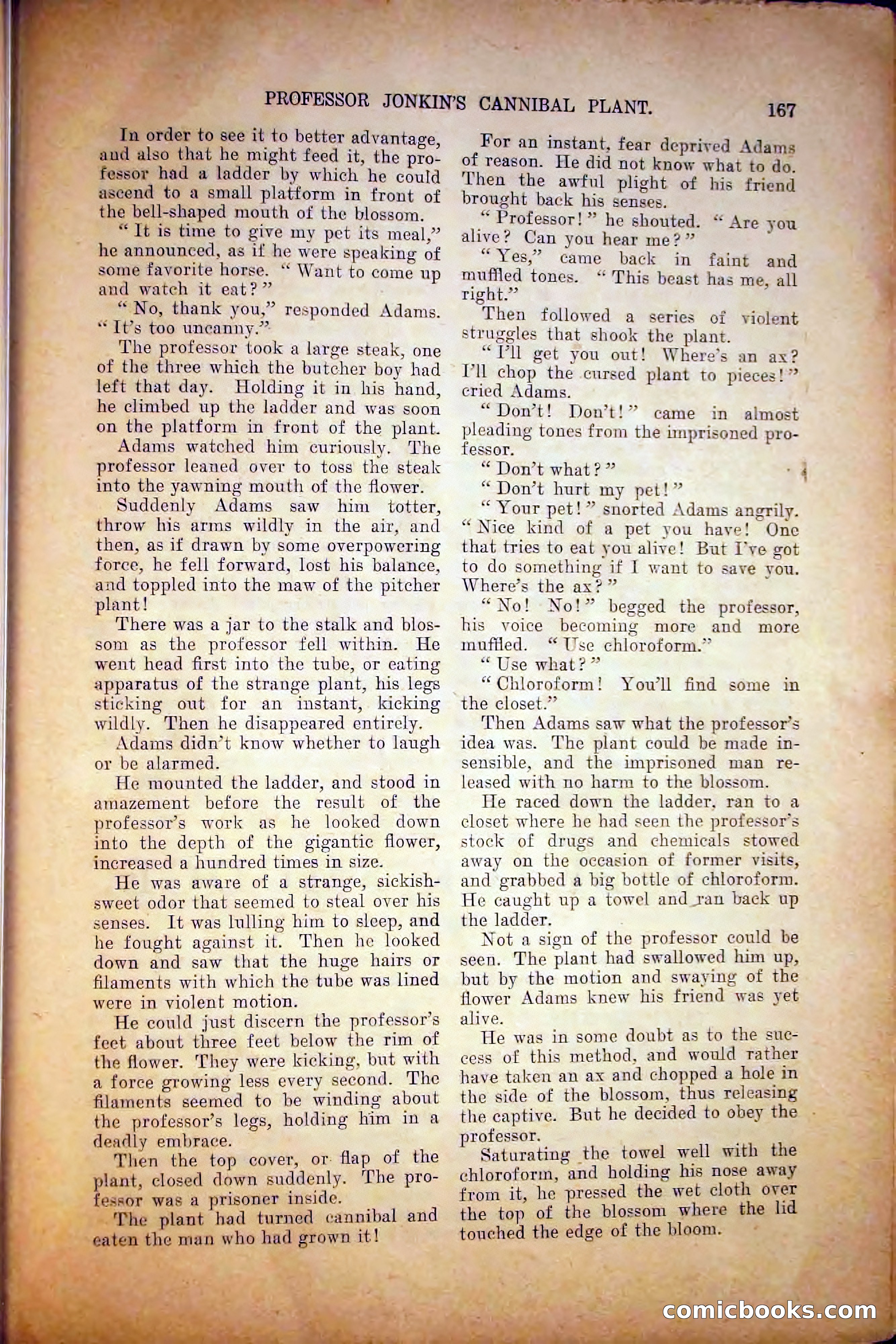 The Argosy, August 1905 — page 177 of 224
