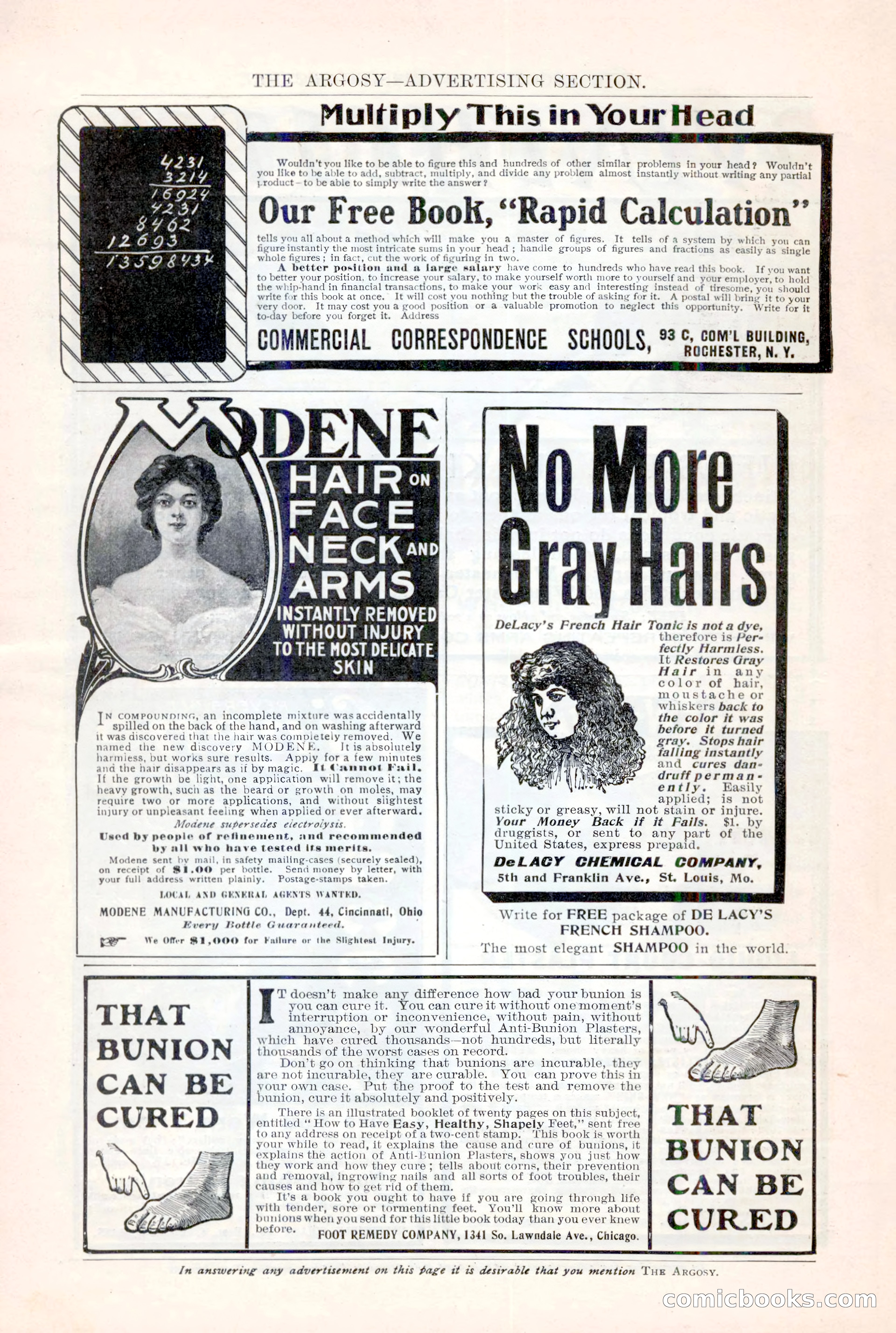 The Argosy, December 1905 — page 246 of 252