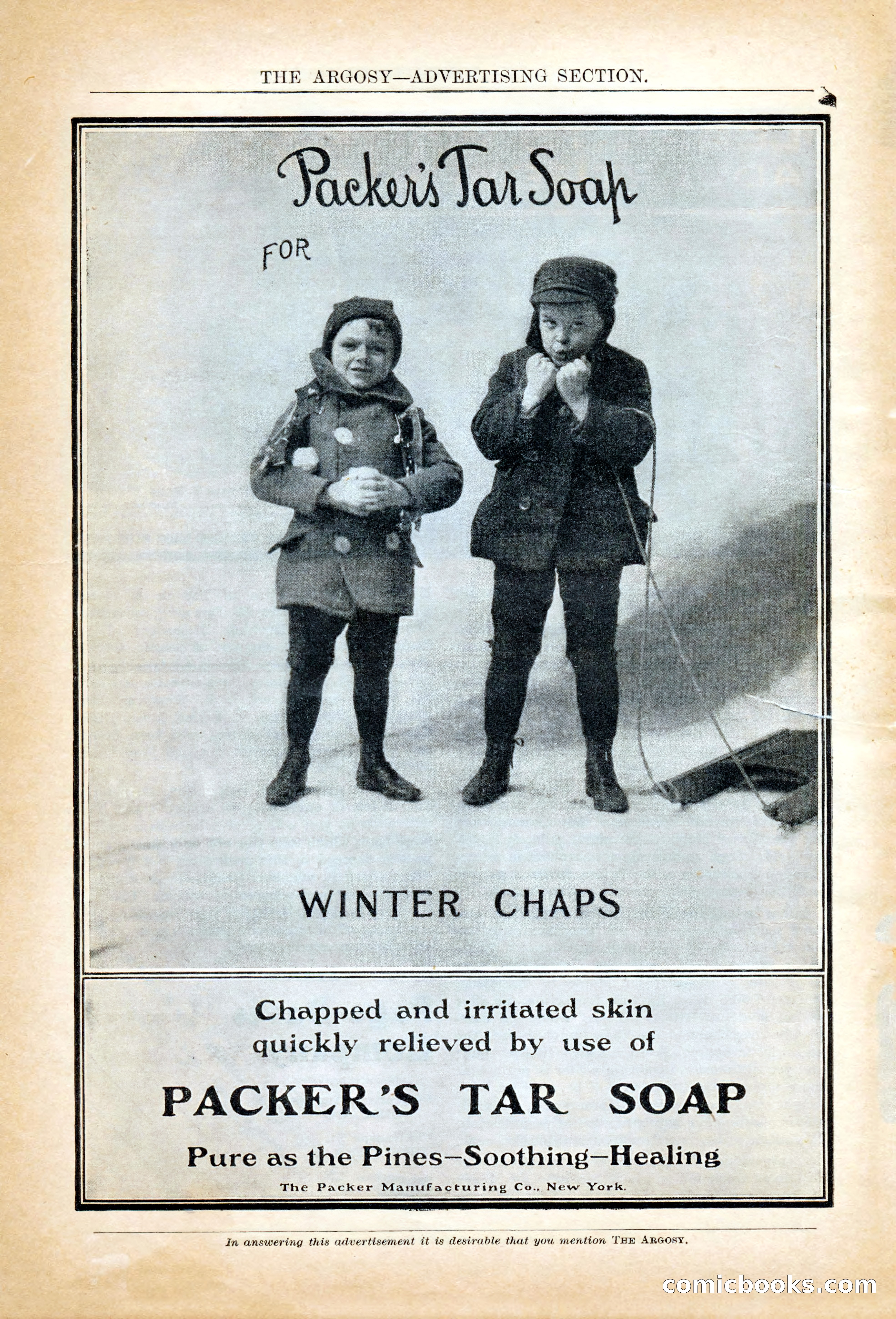 The Argosy, January 1906 — page 10 of 230