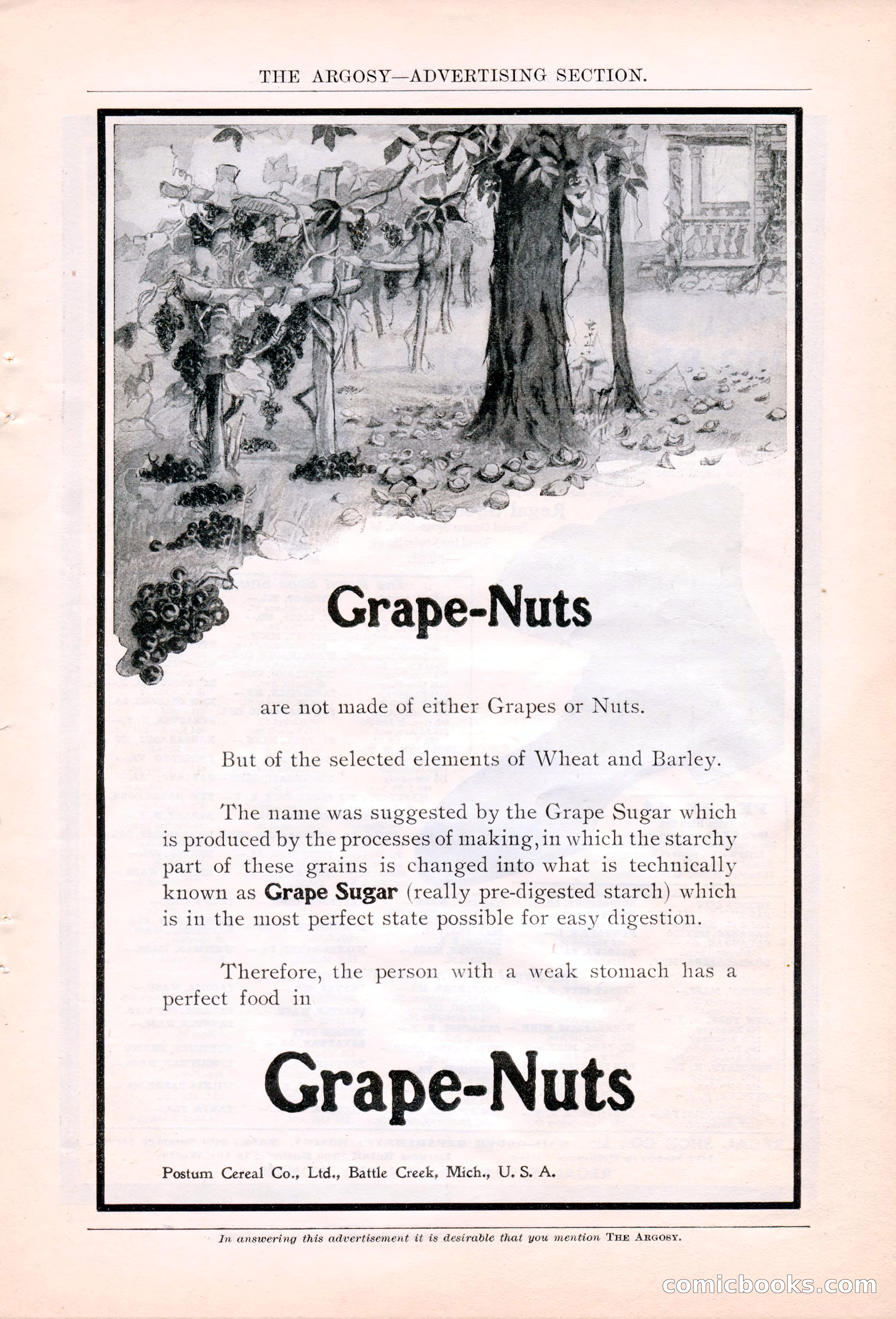 The Argosy, January 1906 — page 205 of 230
