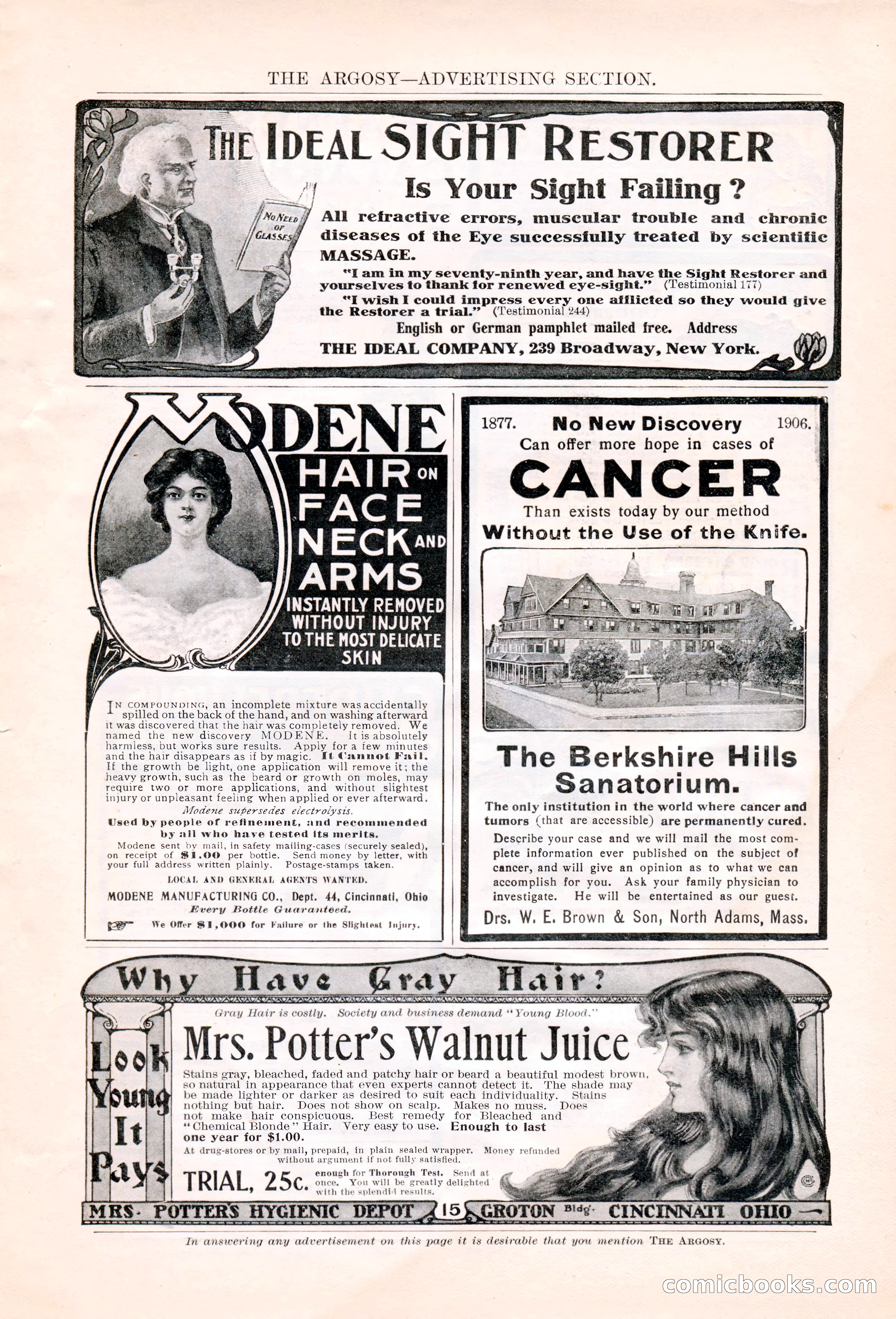 The Argosy, January 1906 — page 221 of 230