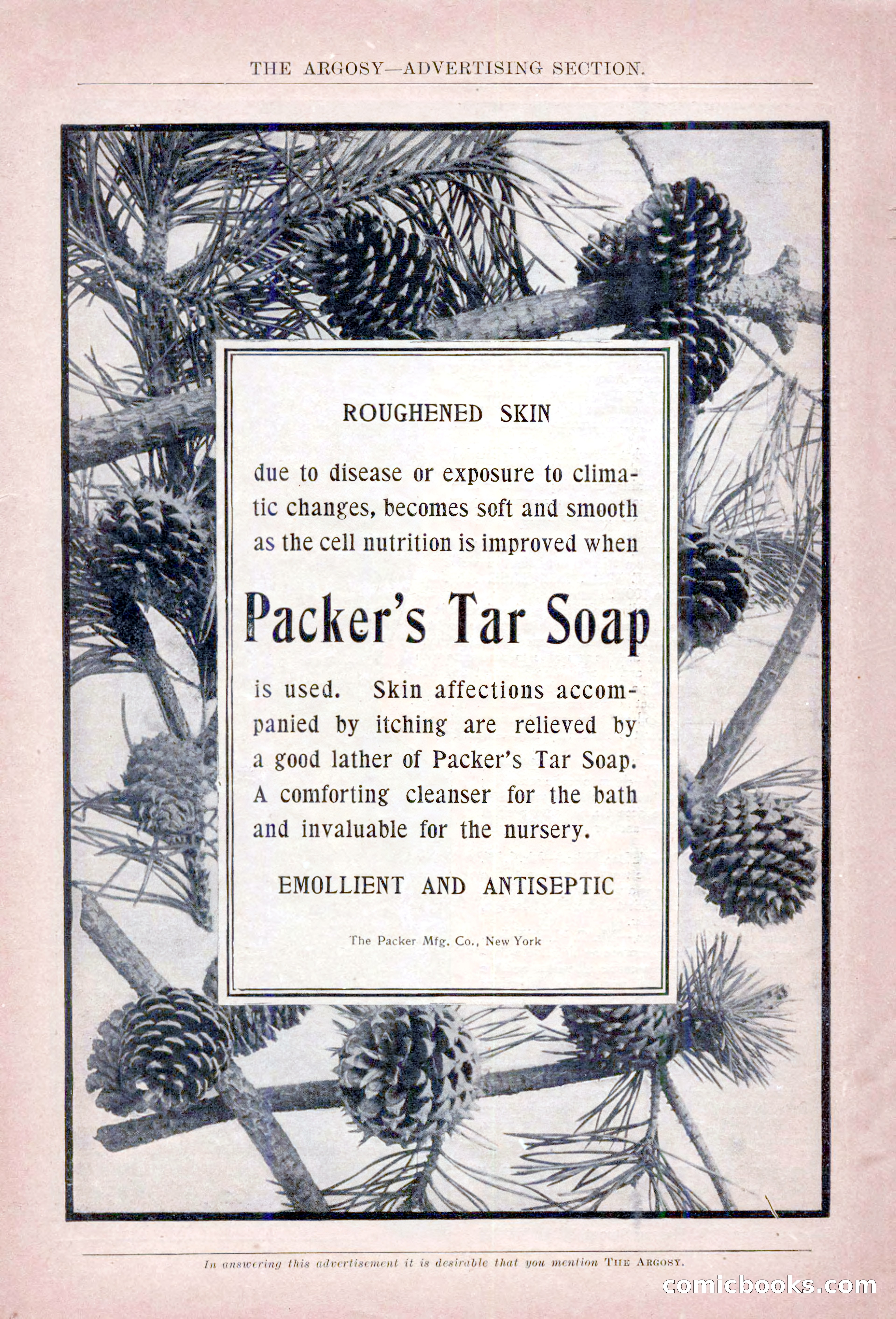 The Argosy, January 1907 — page 10 of 220