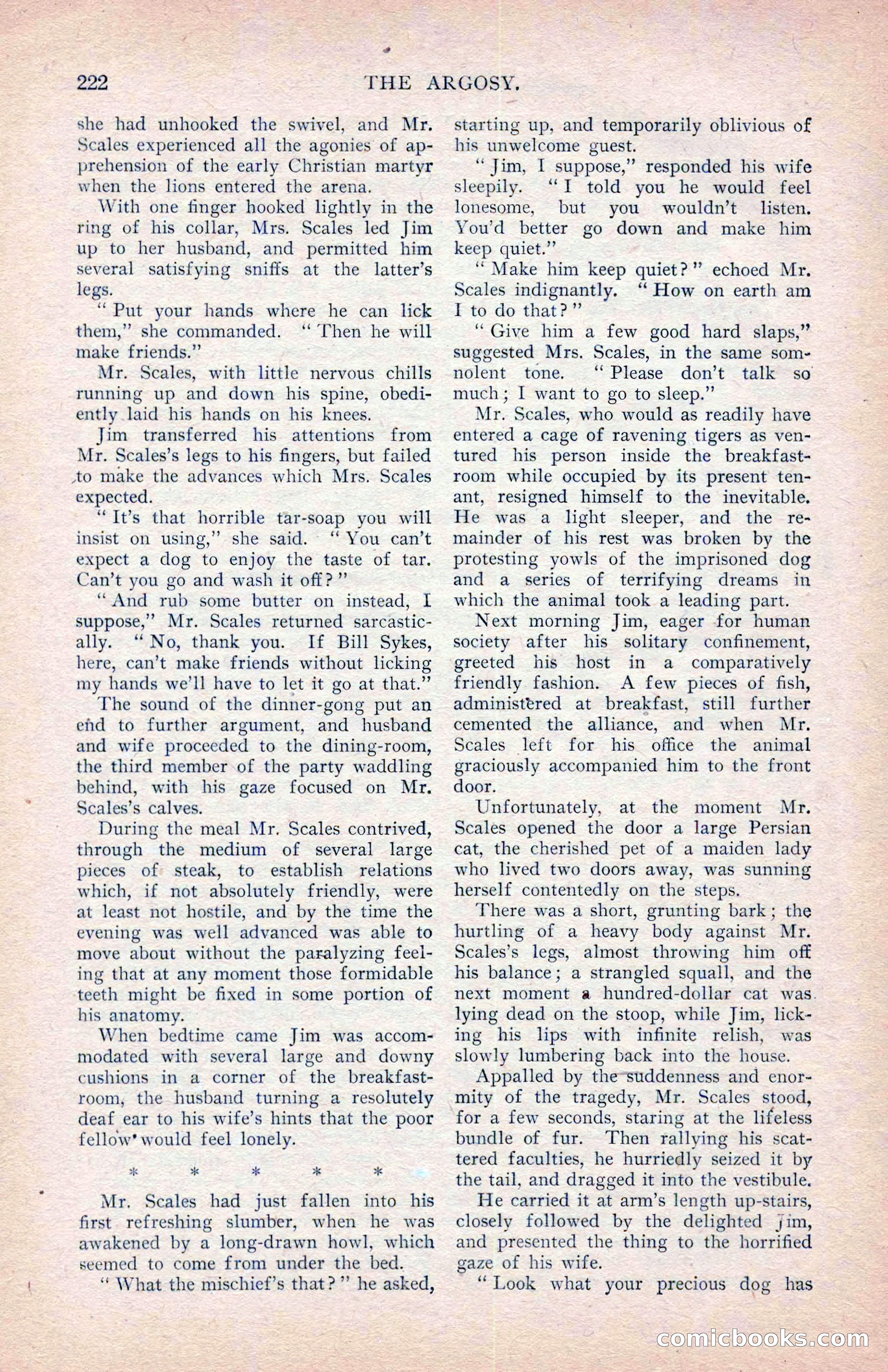 The Argosy, January 1907 — page 40 of 220