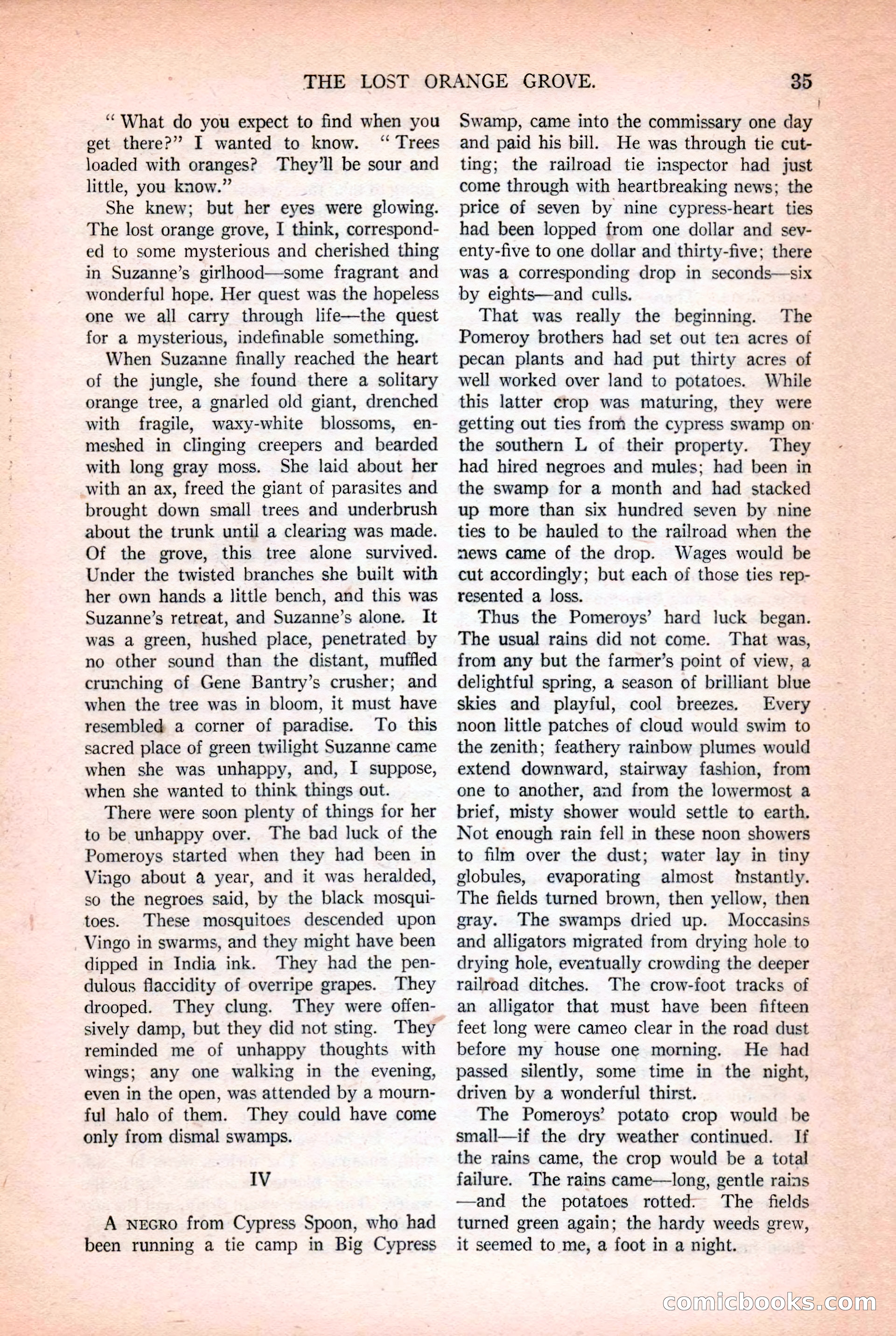 Argosy All-Story Weekly, October 25, 1924 — page 45 of 172