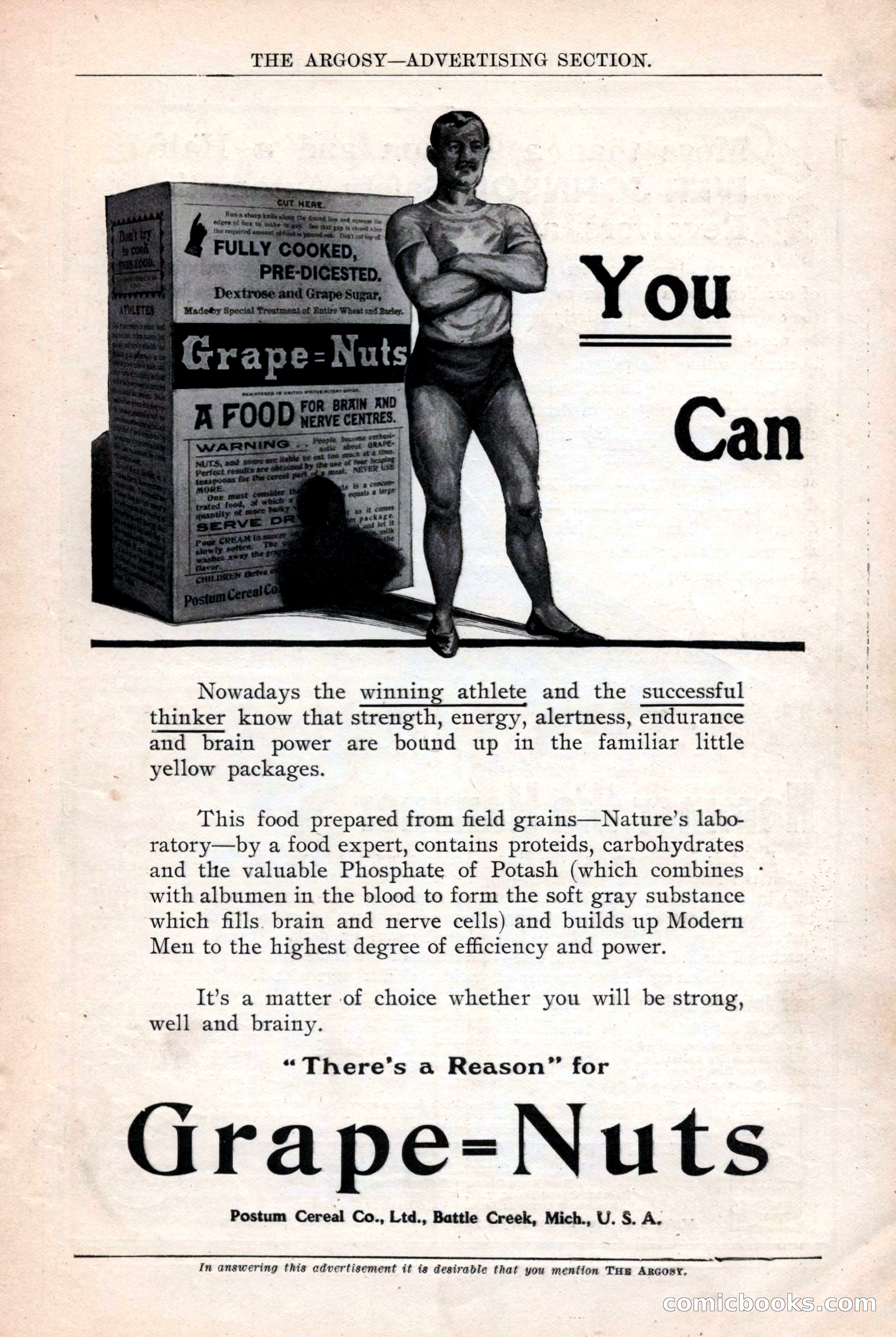 The Argosy, March 1907 — page 203 of 228