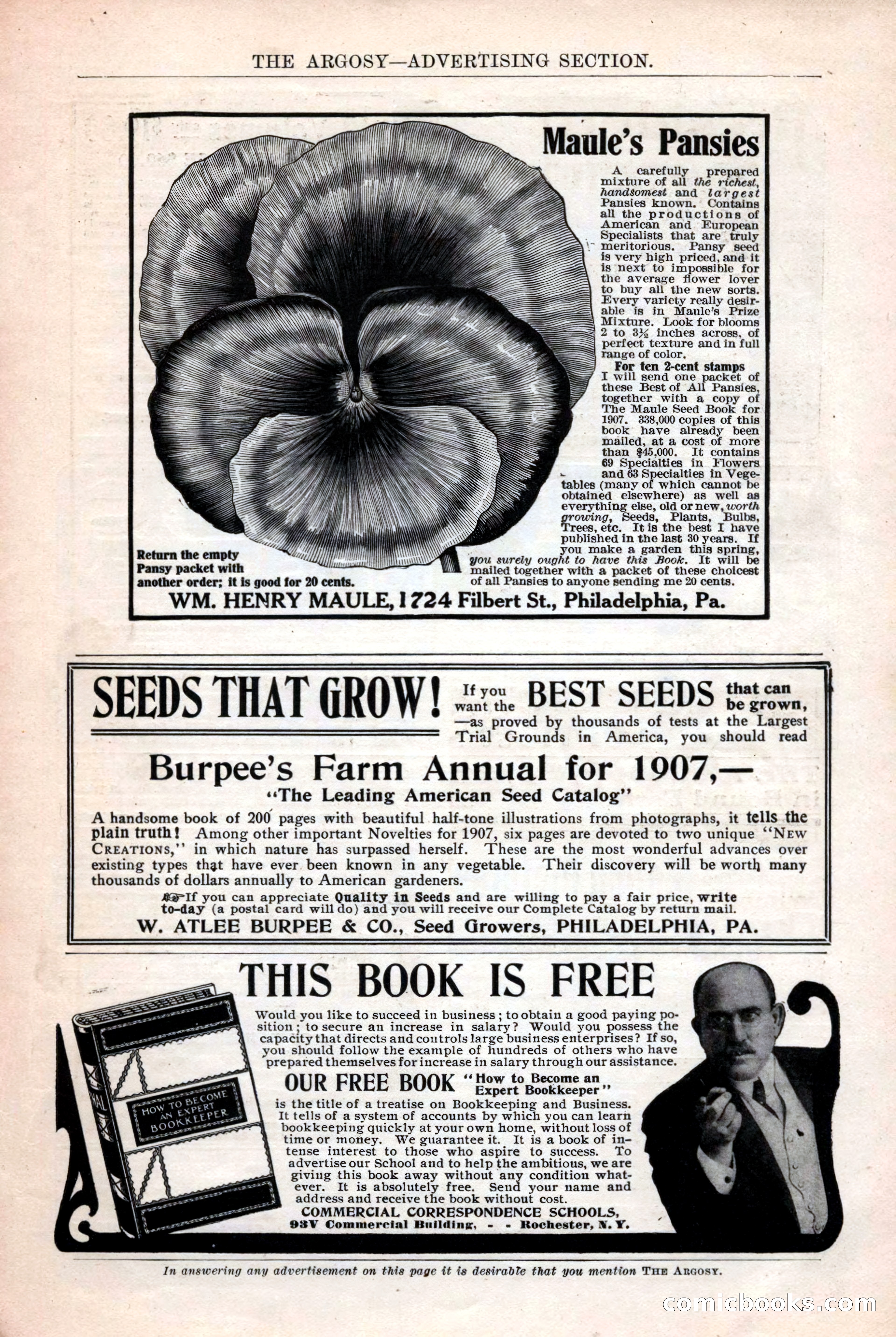 The Argosy, March 1907 — page 217 of 228