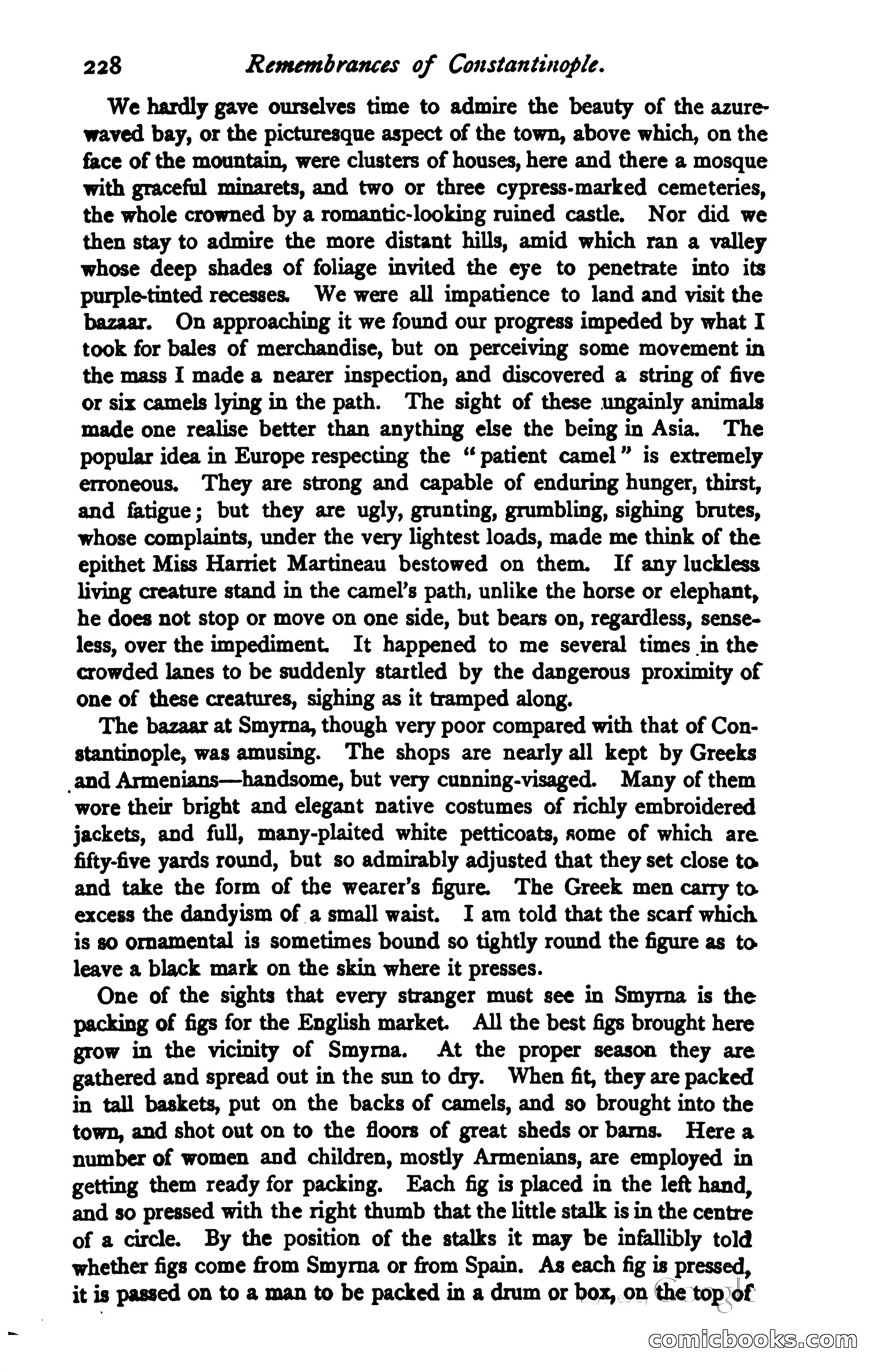 The Argosy — page 242 of 399