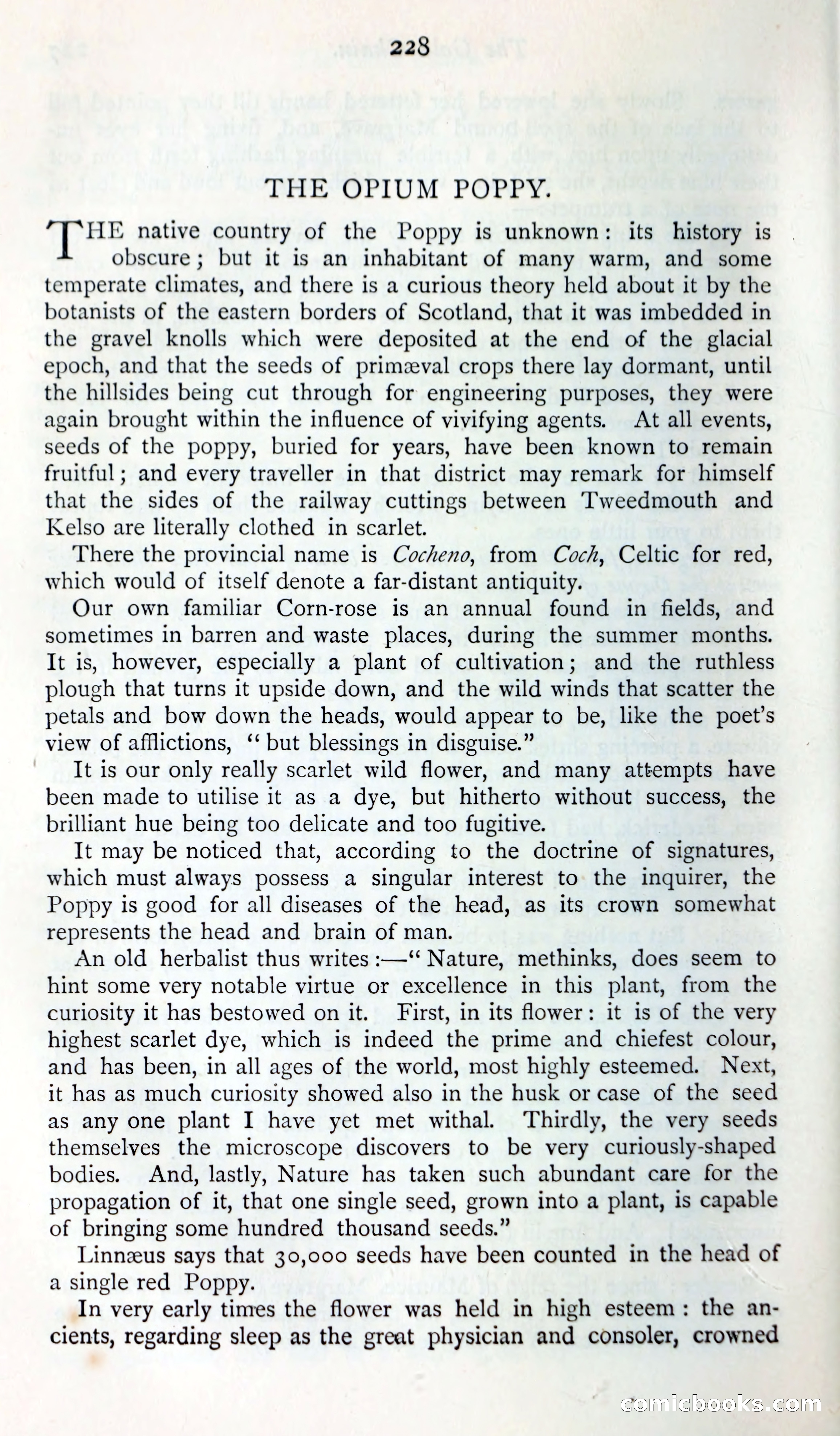 The Argosy — page 247 of 399