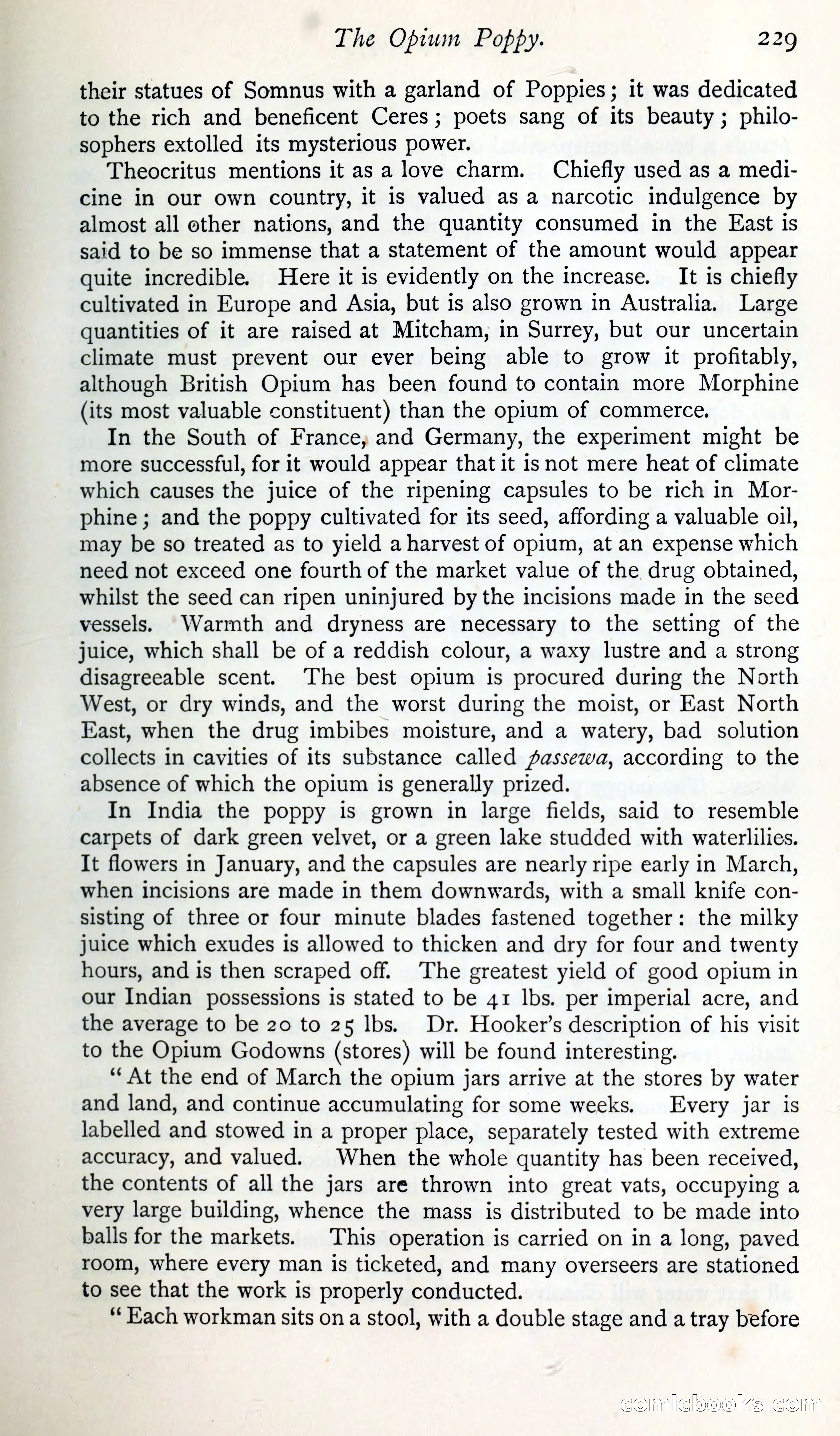 The Argosy — page 248 of 399