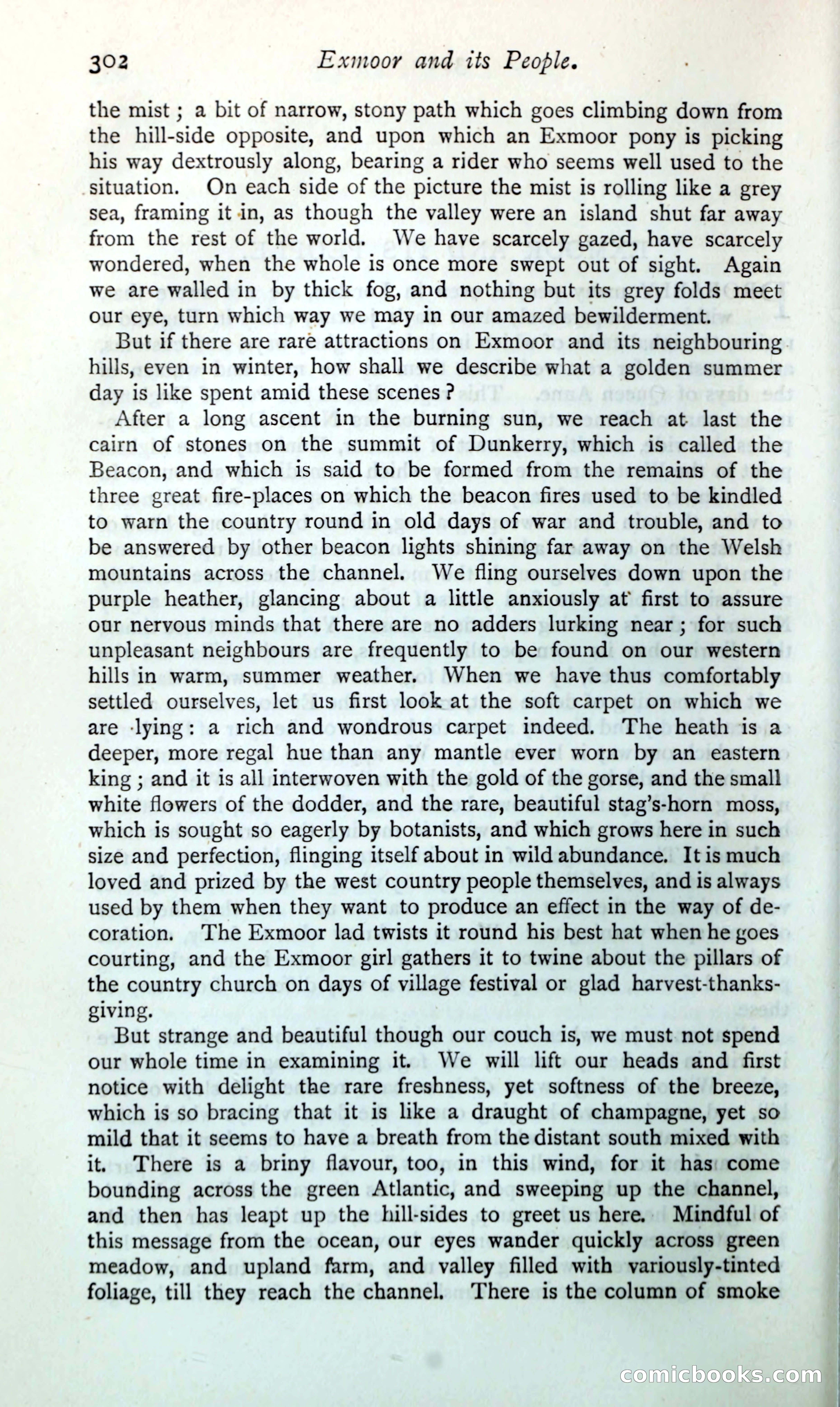 The Argosy — page 327 of 399