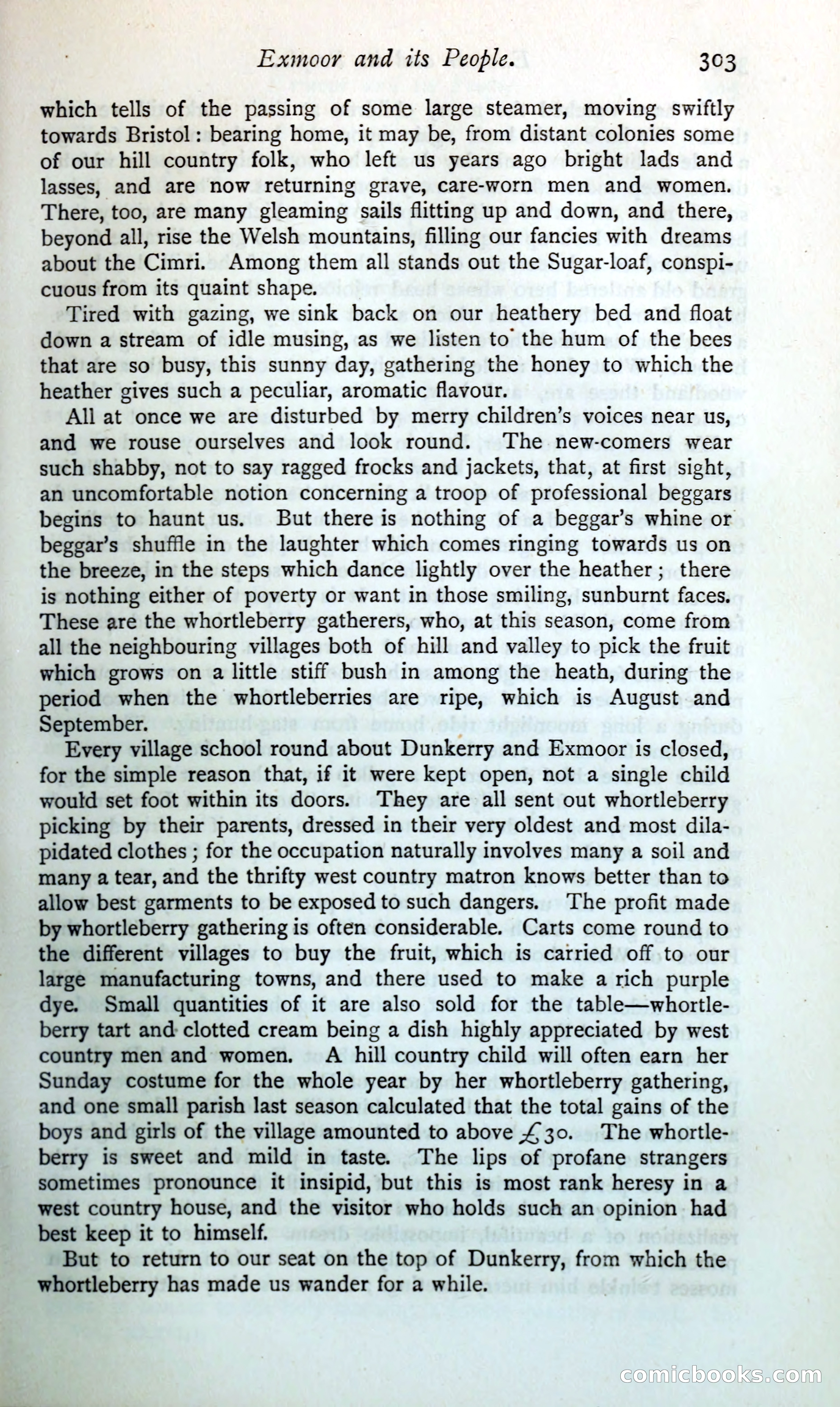 The Argosy — page 328 of 399