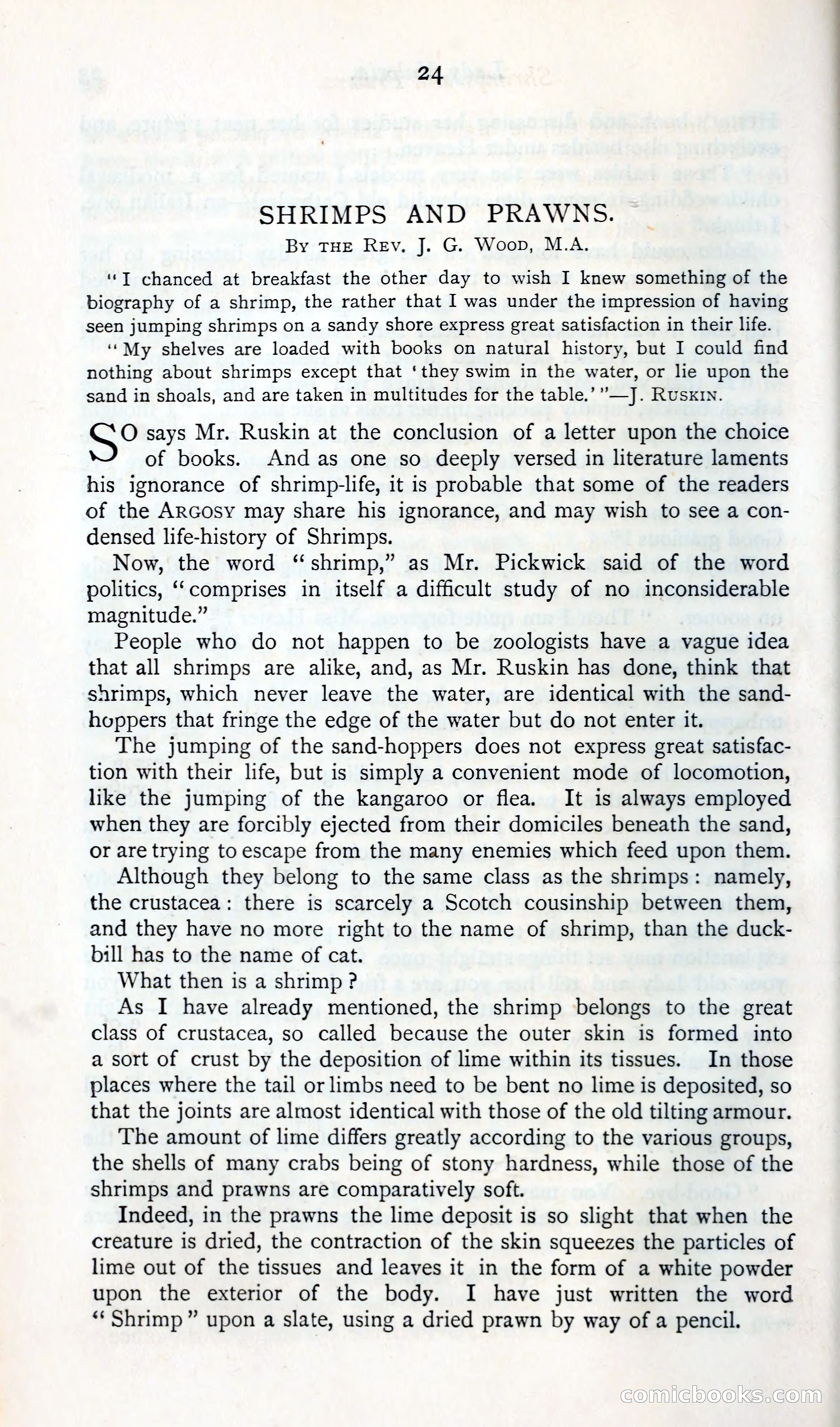 The Argosy — page 37 of 400
