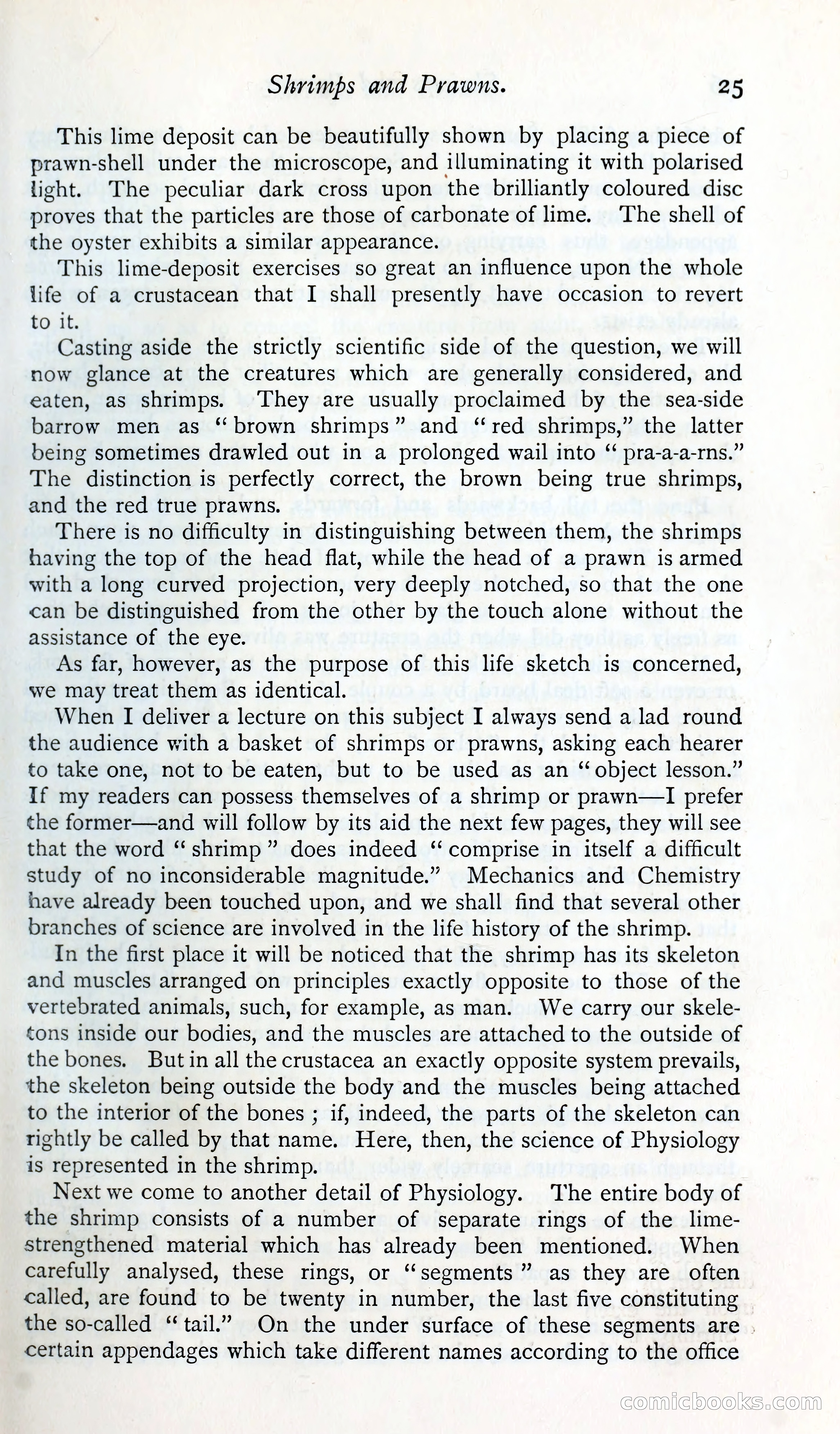 The Argosy — page 38 of 400