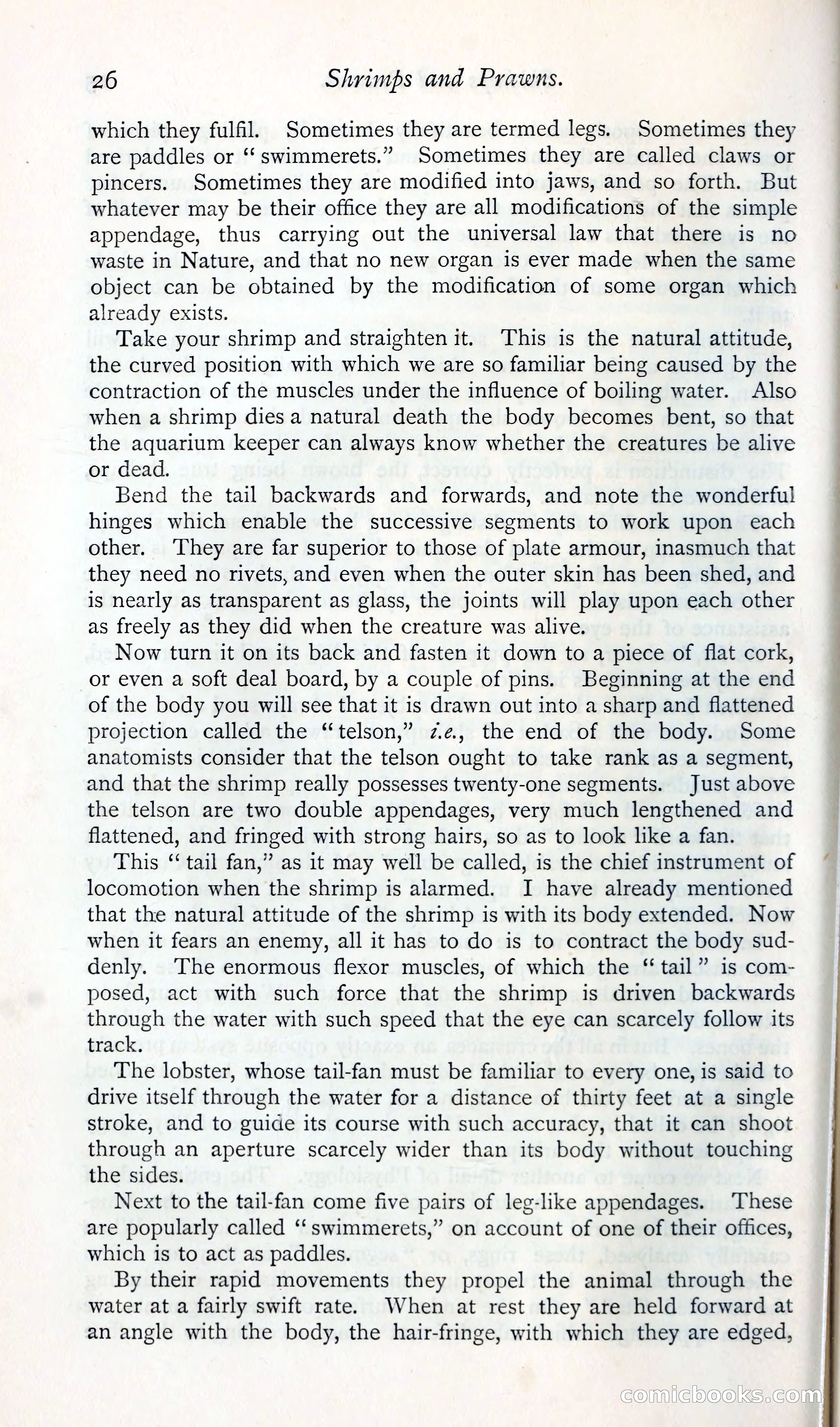 The Argosy — page 39 of 400