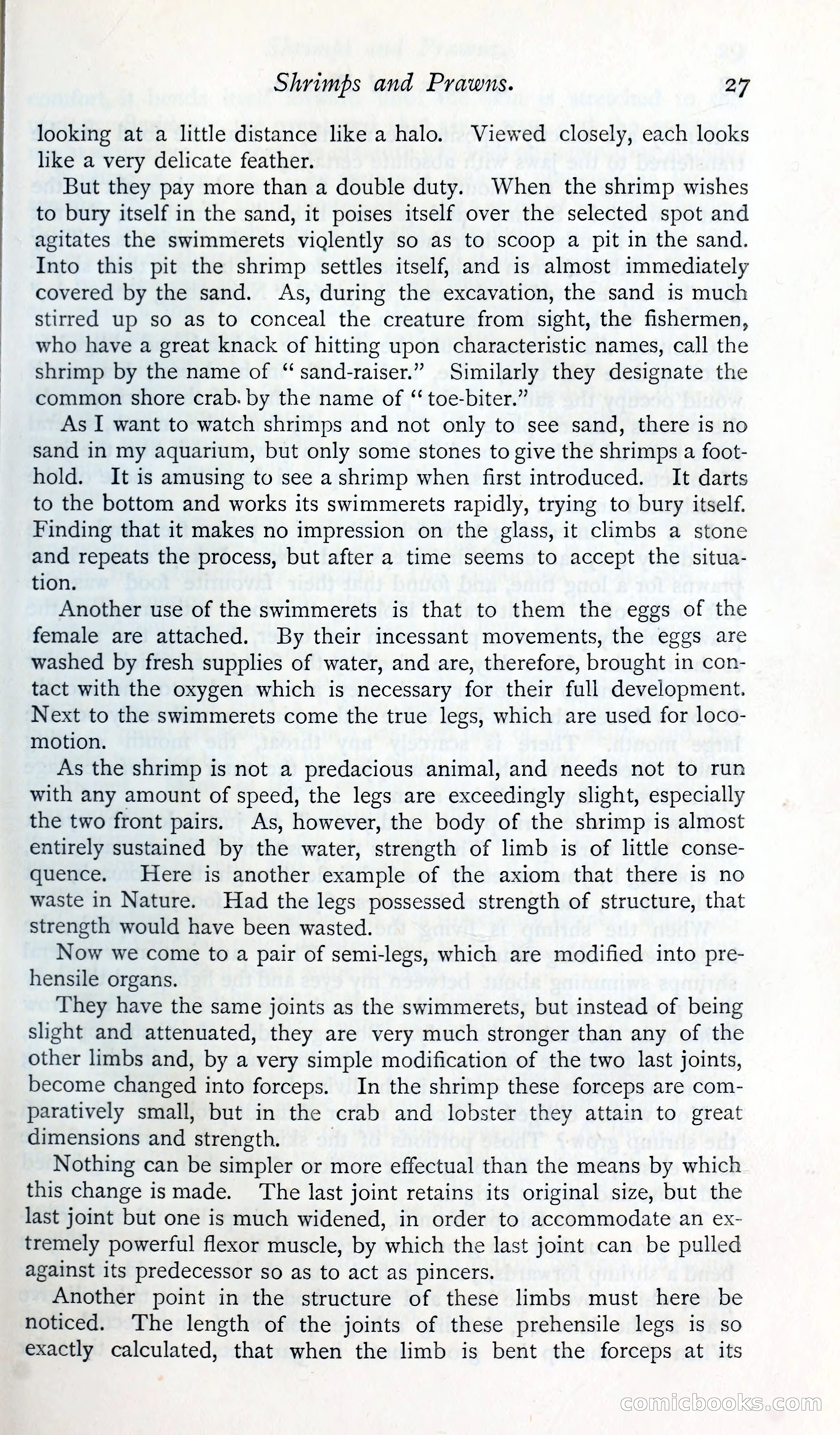 The Argosy — page 40 of 400