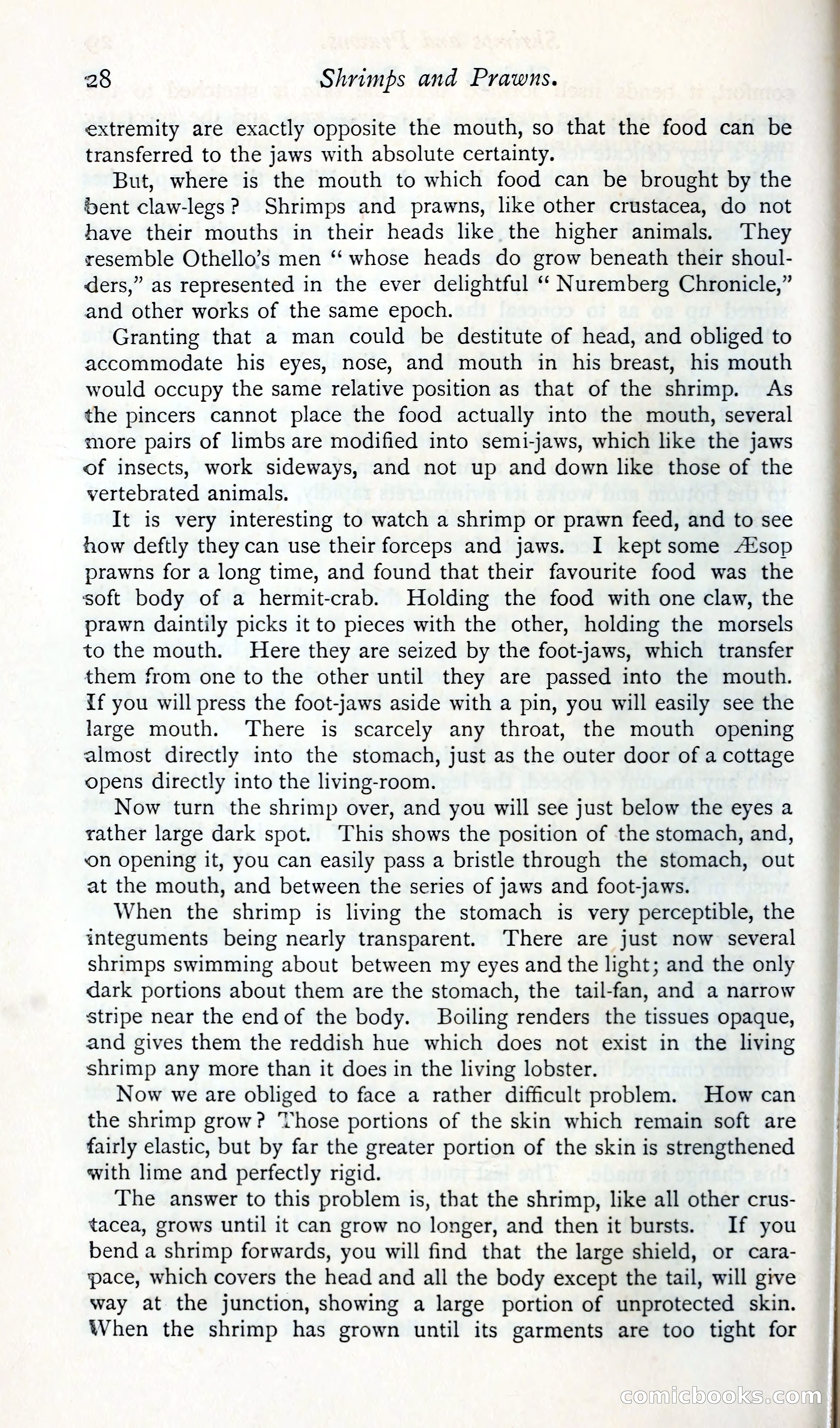 The Argosy — page 41 of 400