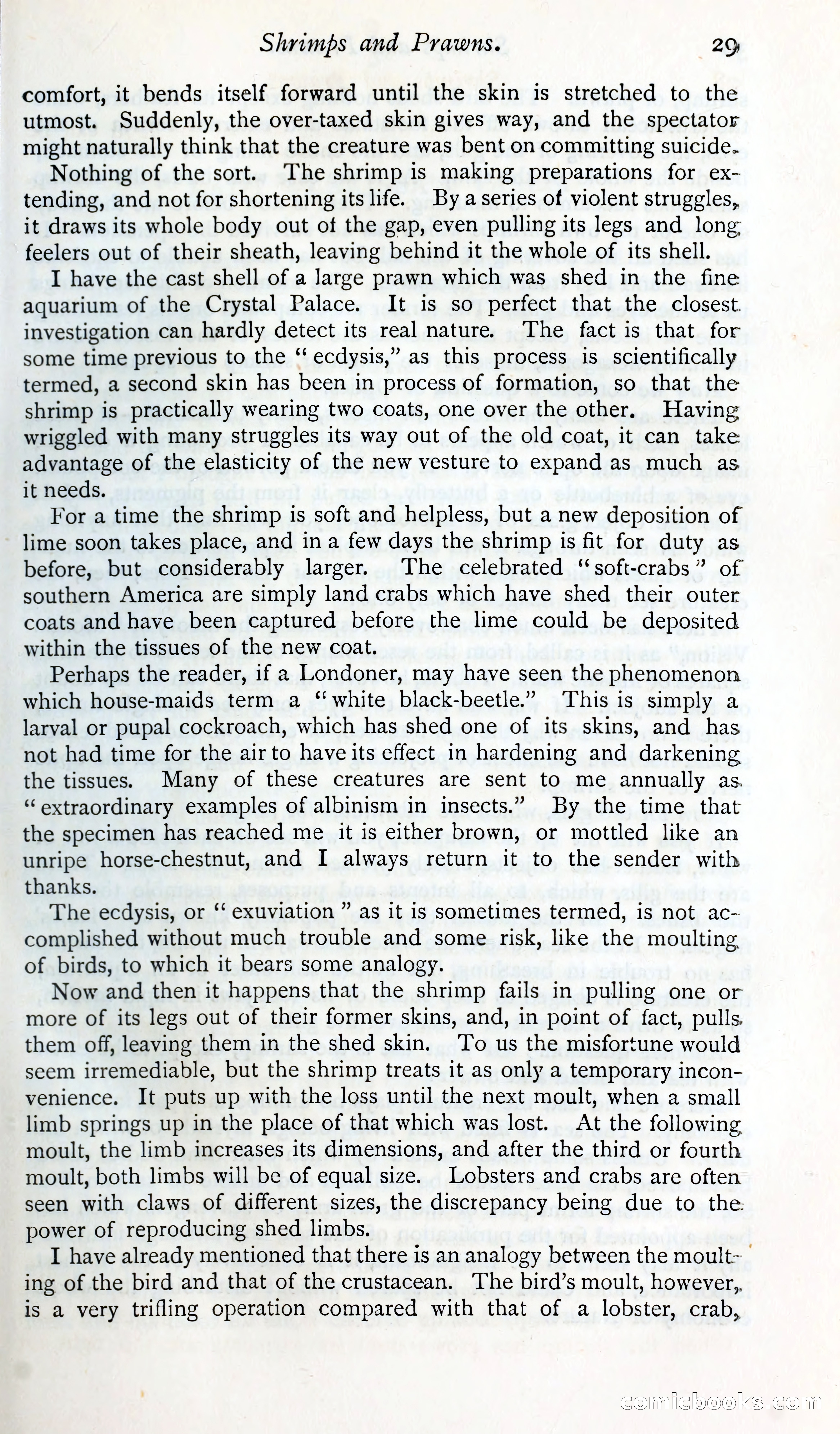 The Argosy — page 42 of 400