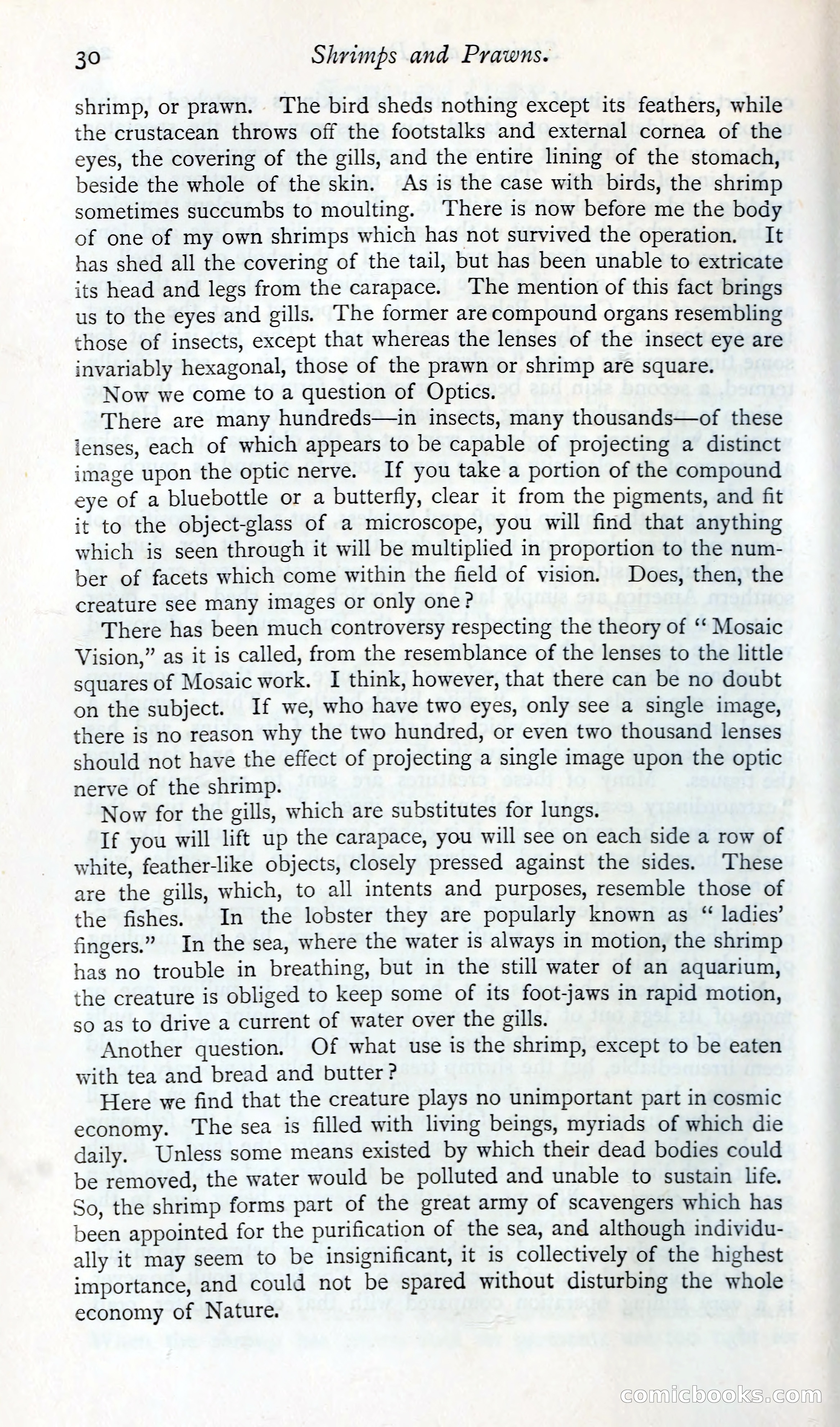 The Argosy — page 43 of 400