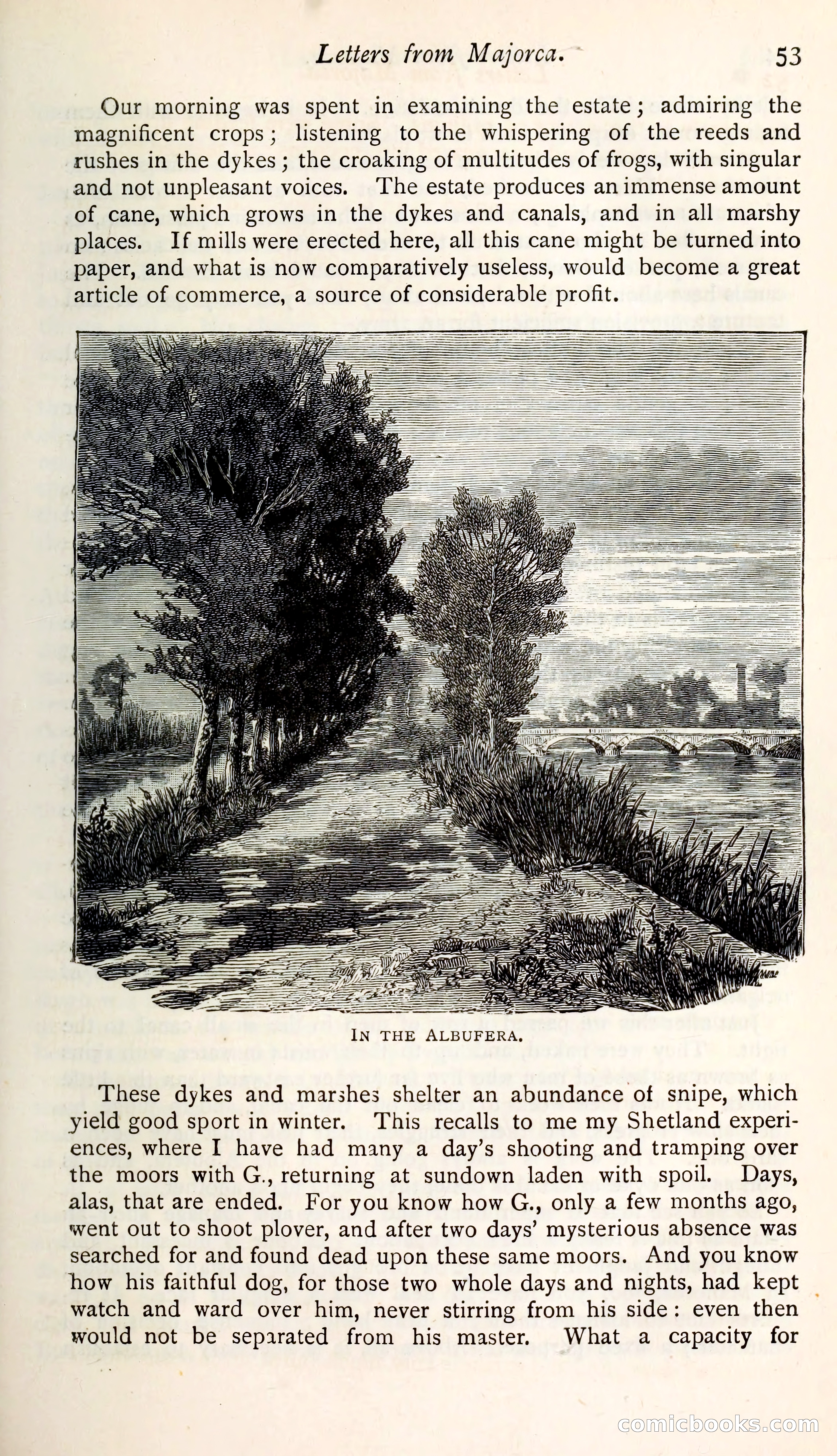 The Argosy — page 68 of 400