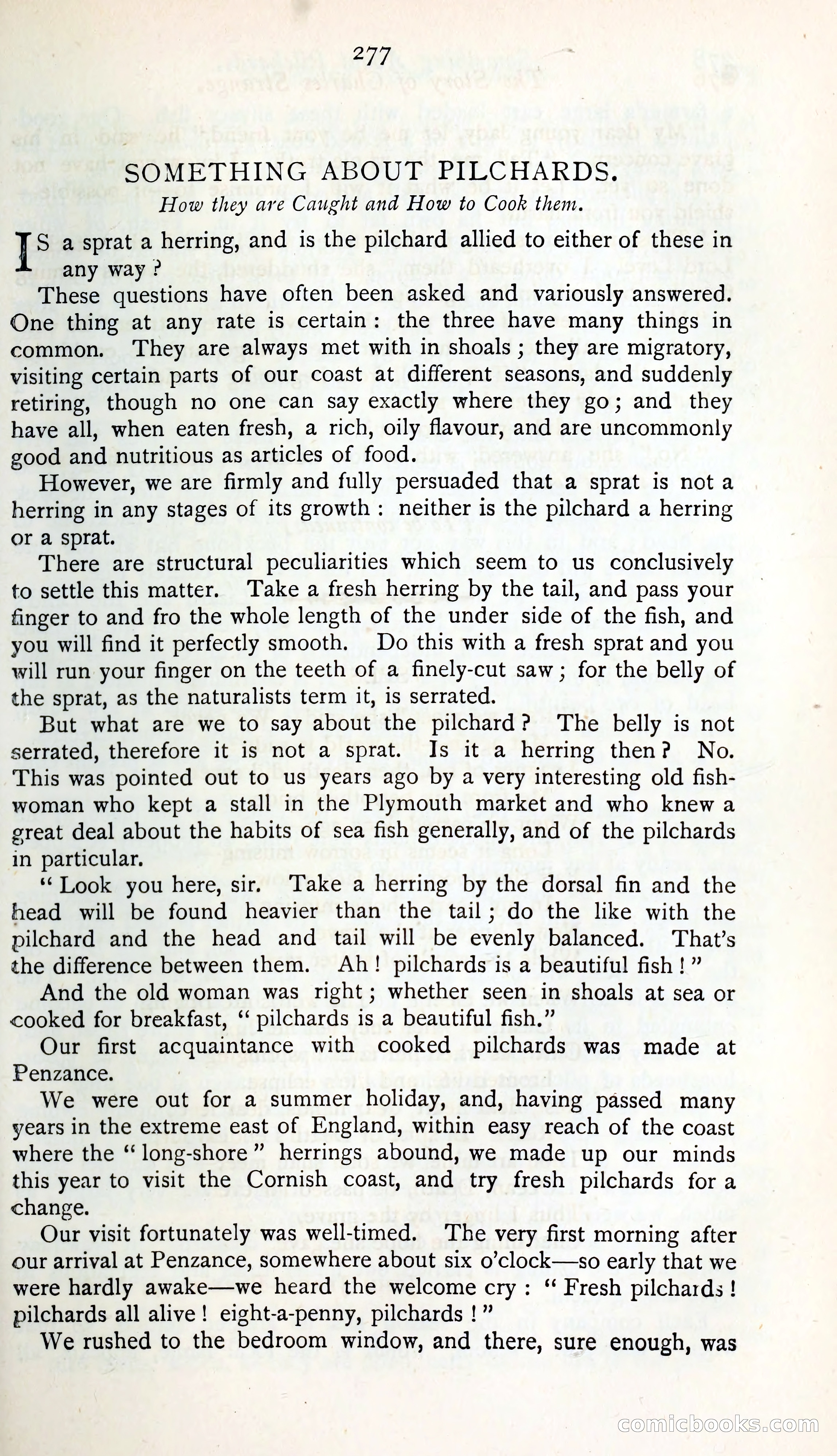 The Argosy — page 300 of 400