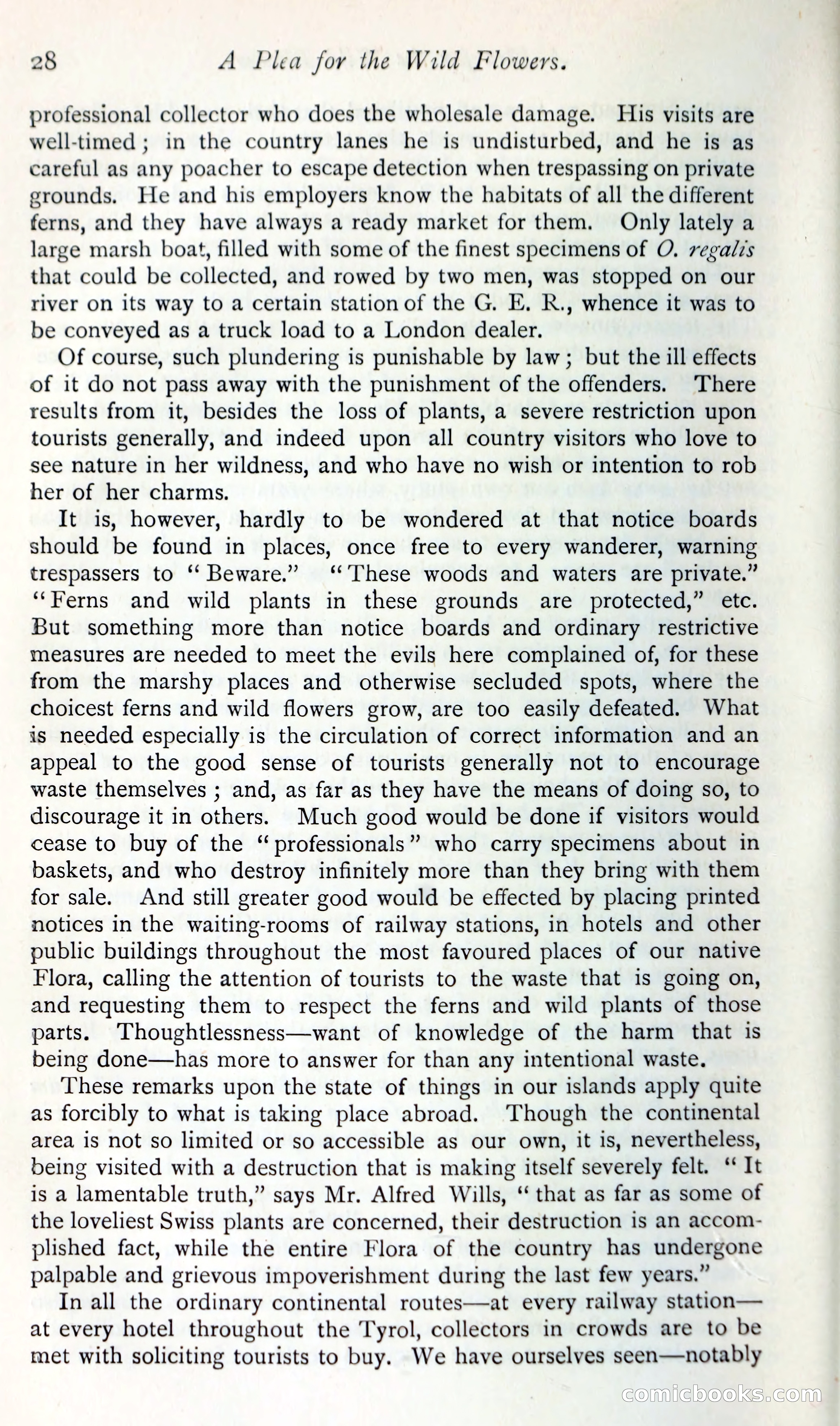 The Argosy — page 41 of 400