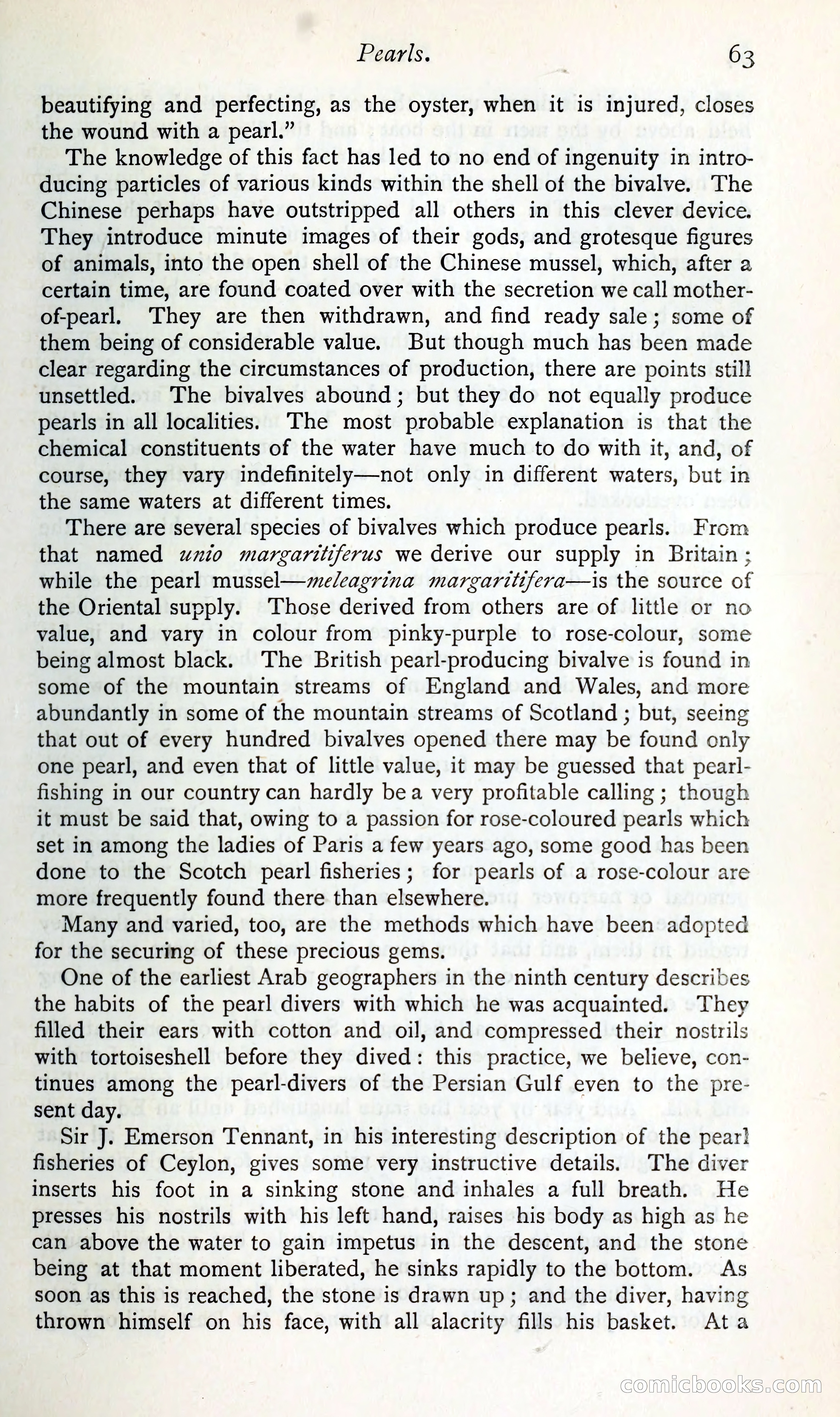 The Argosy — page 76 of 400